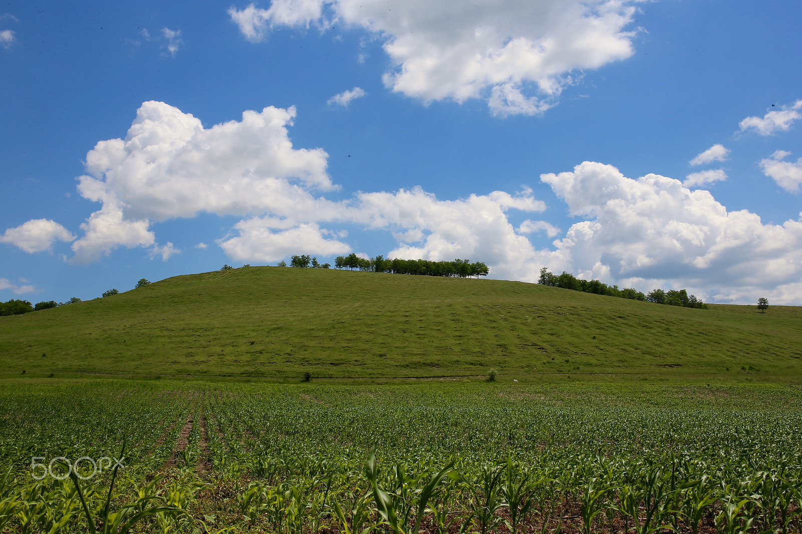 Canon EF 24-70mm F4L IS USM sample photo. Небо и земля photography