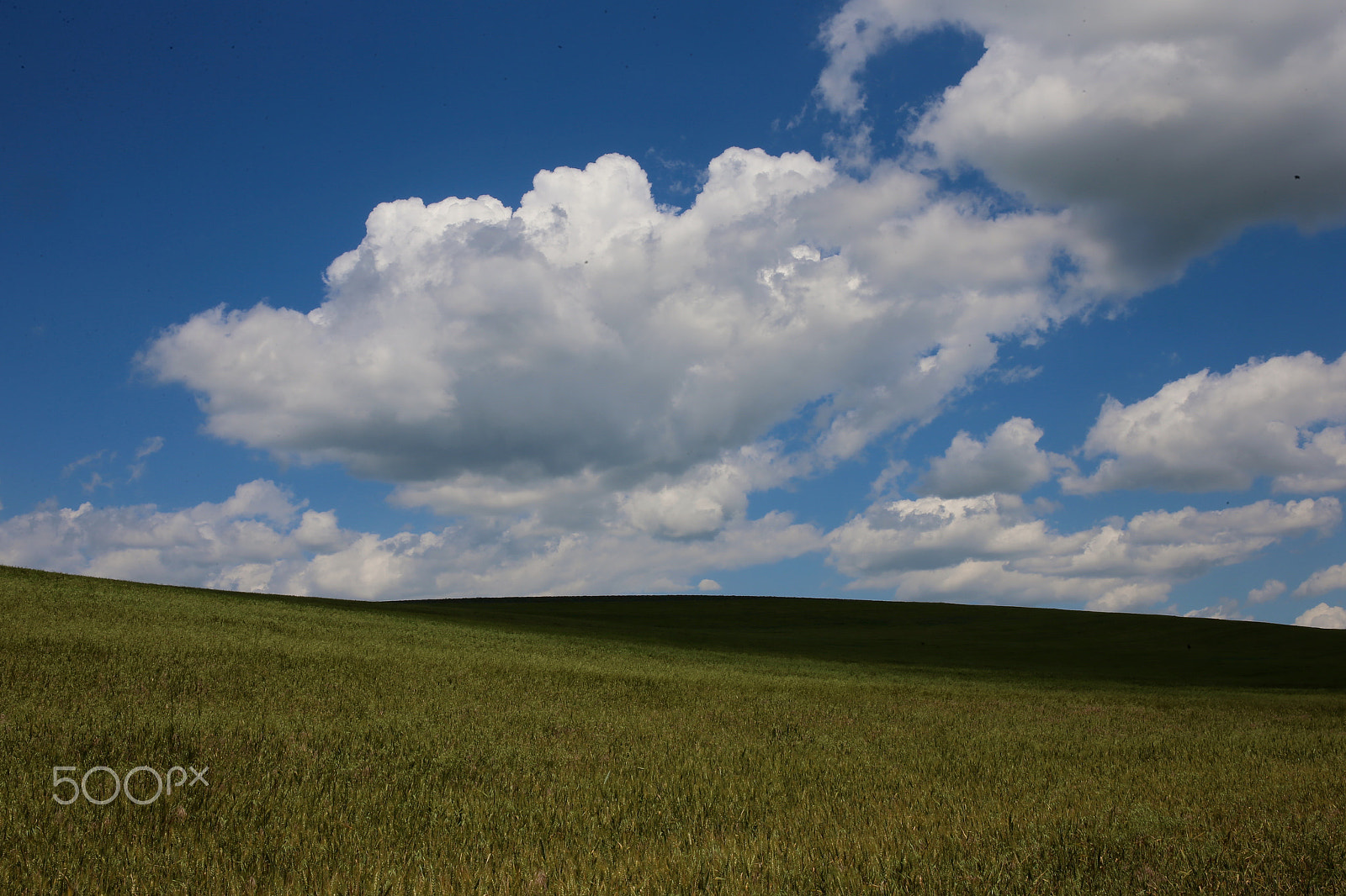 Canon EF 24-70mm F4L IS USM sample photo. Небо и земля photography