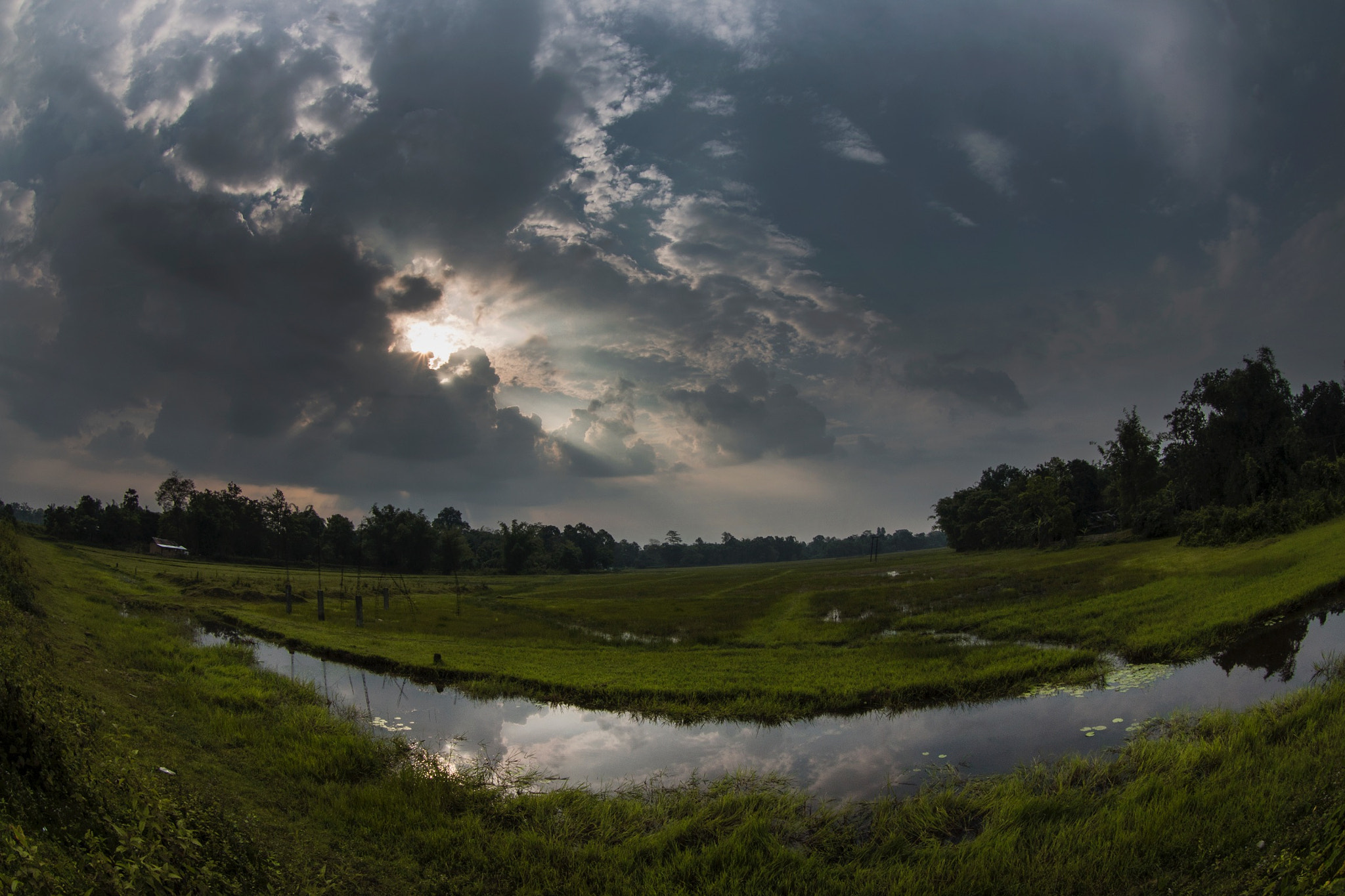 Canon EF 8-15mm F4L Fisheye USM sample photo