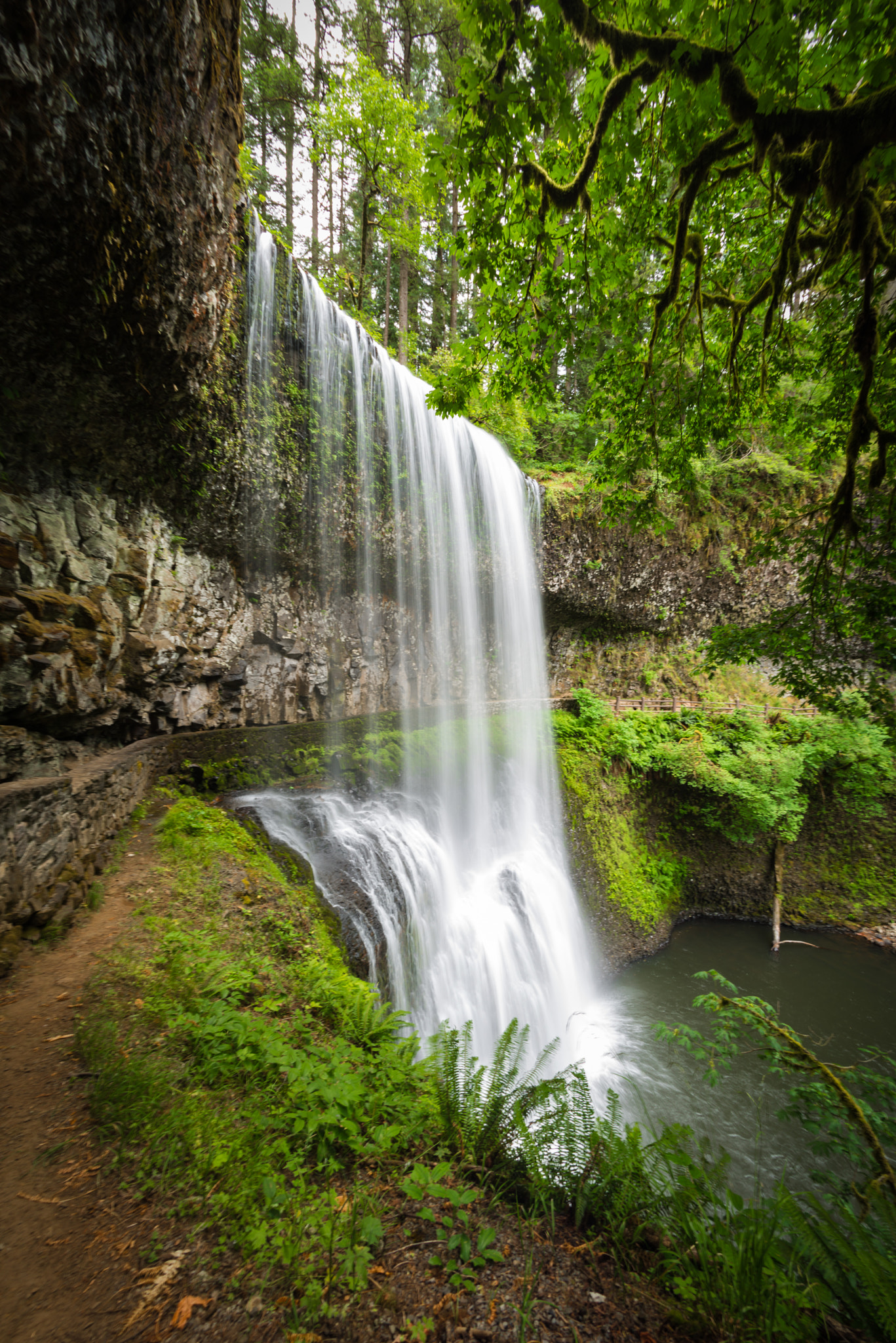 Nikon D800 + Nikon AF Fisheye-Nikkor 16mm F2.8D sample photo. Silver falls park photography