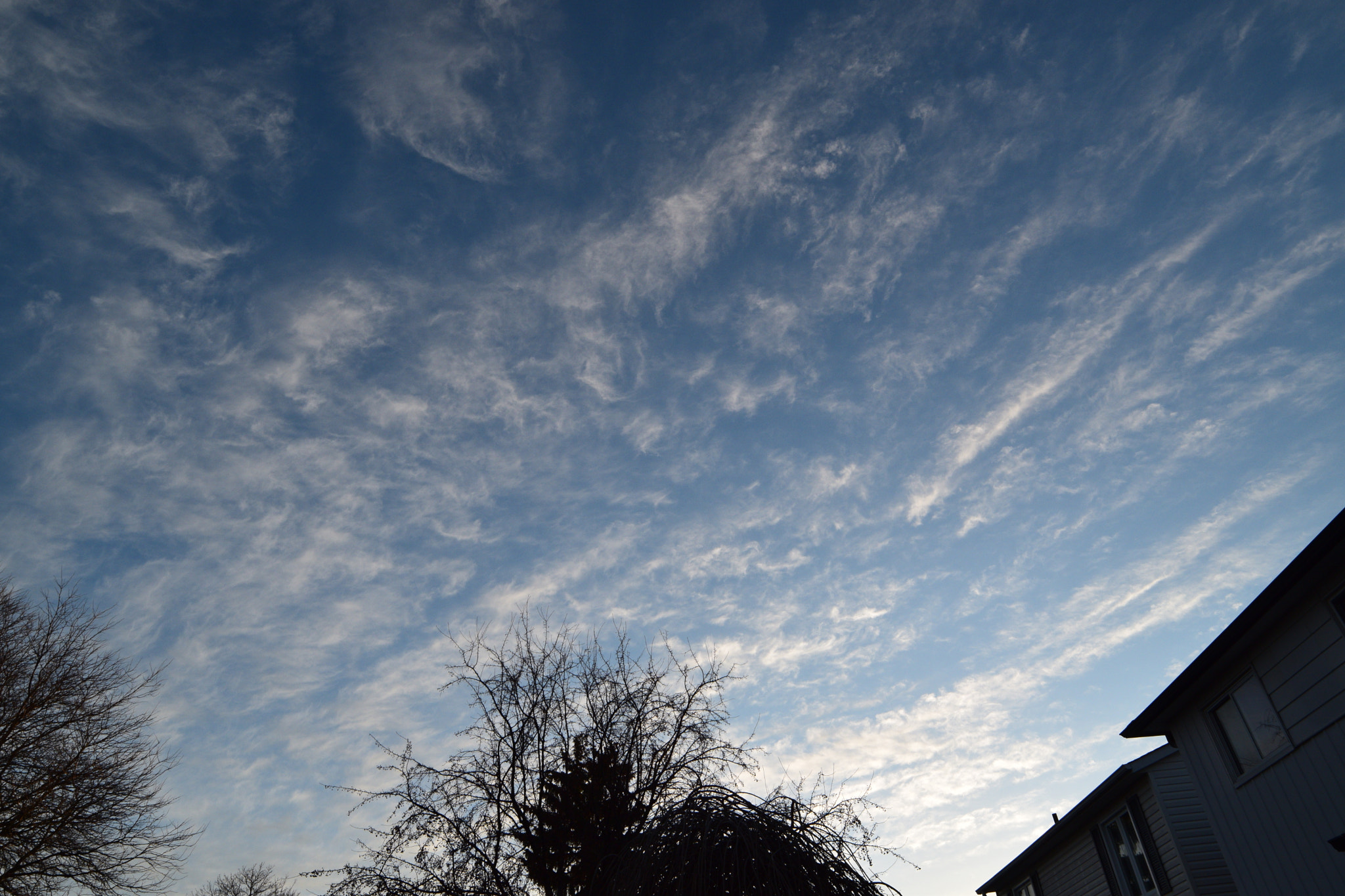 Samyang 14mm F2.8 ED AS IF UMC sample photo. Dsc_4408.jpg photography