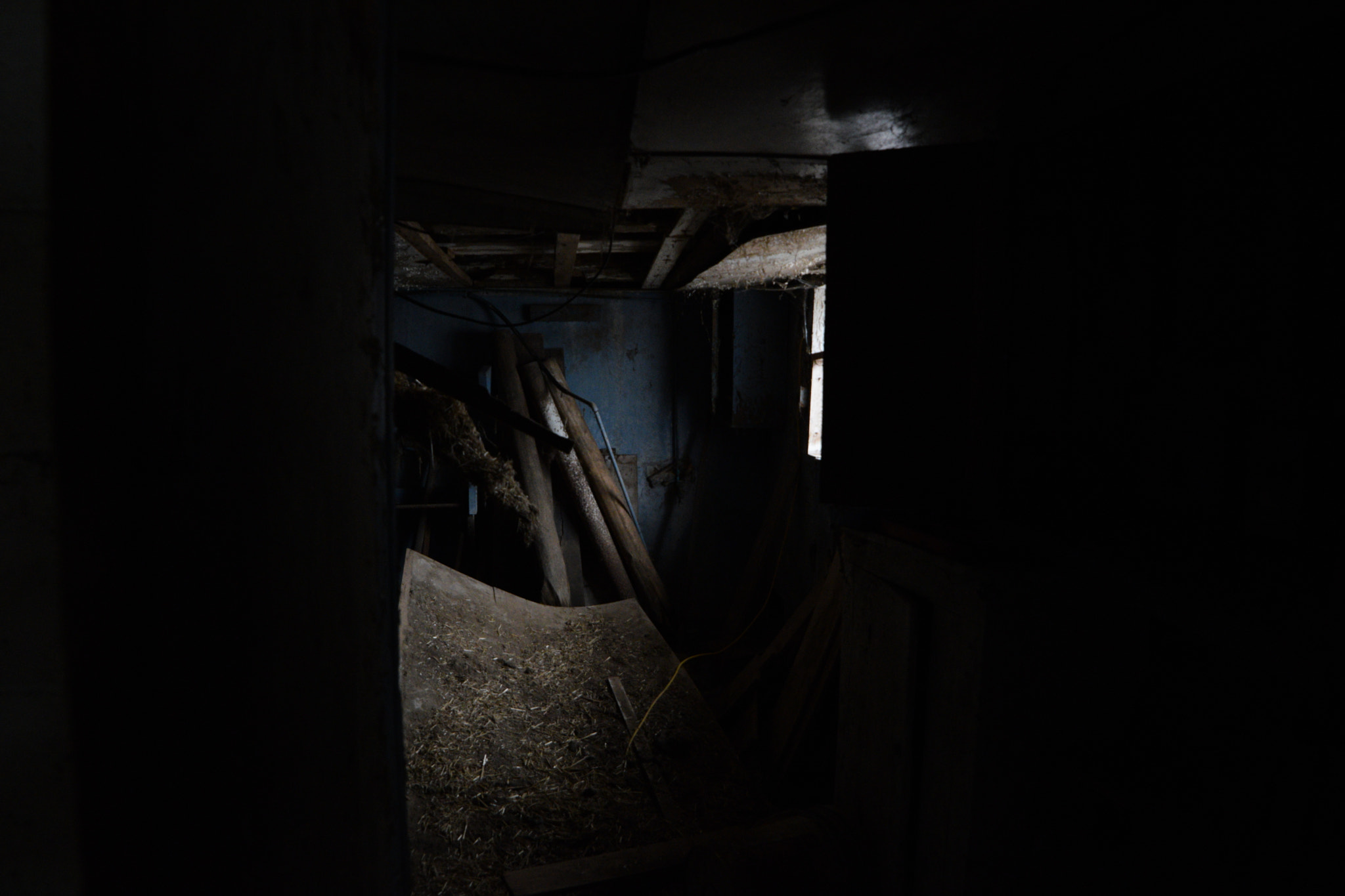 Samyang 14mm F2.8 ED AS IF UMC sample photo. Dsc_4725.jpg photography