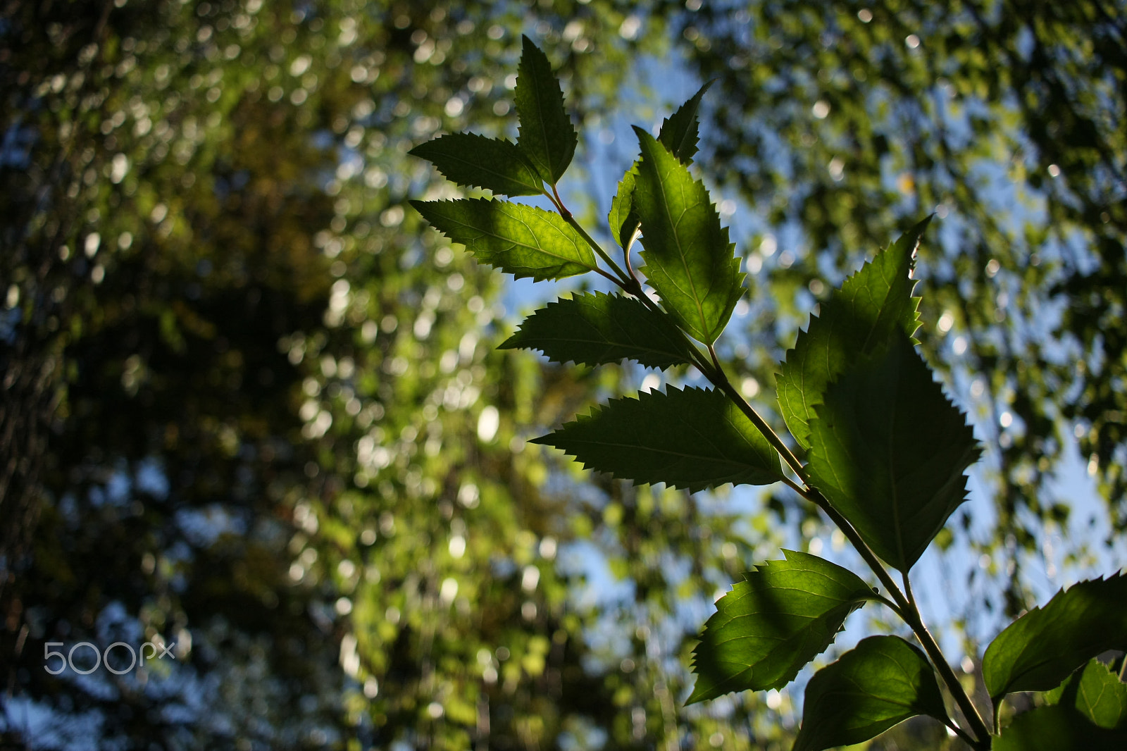 Canon EF-S 24mm F2.8 STM sample photo. Img_3992.jpg photography