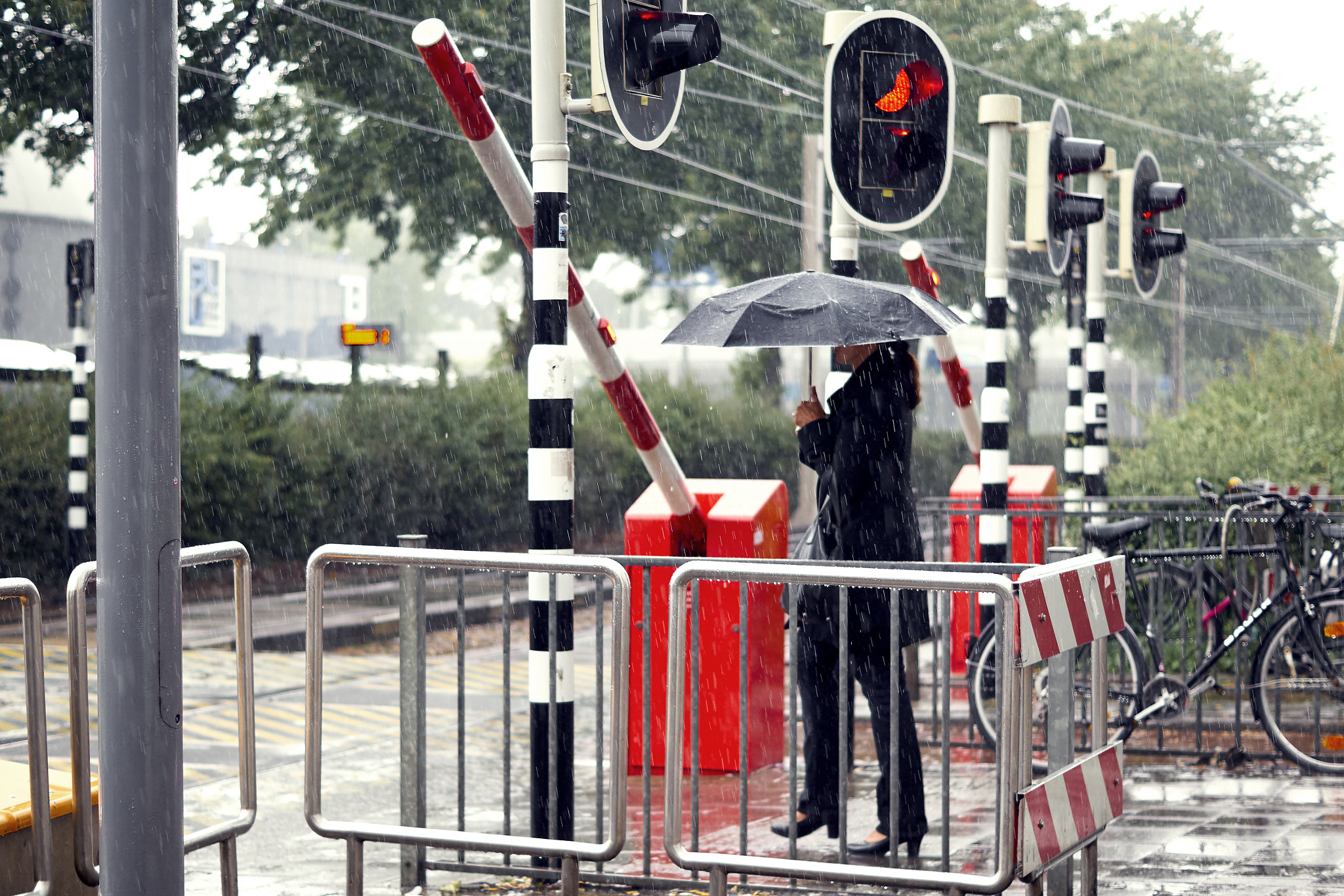 Sony ILCA-77M2 sample photo. Red in the rain photography