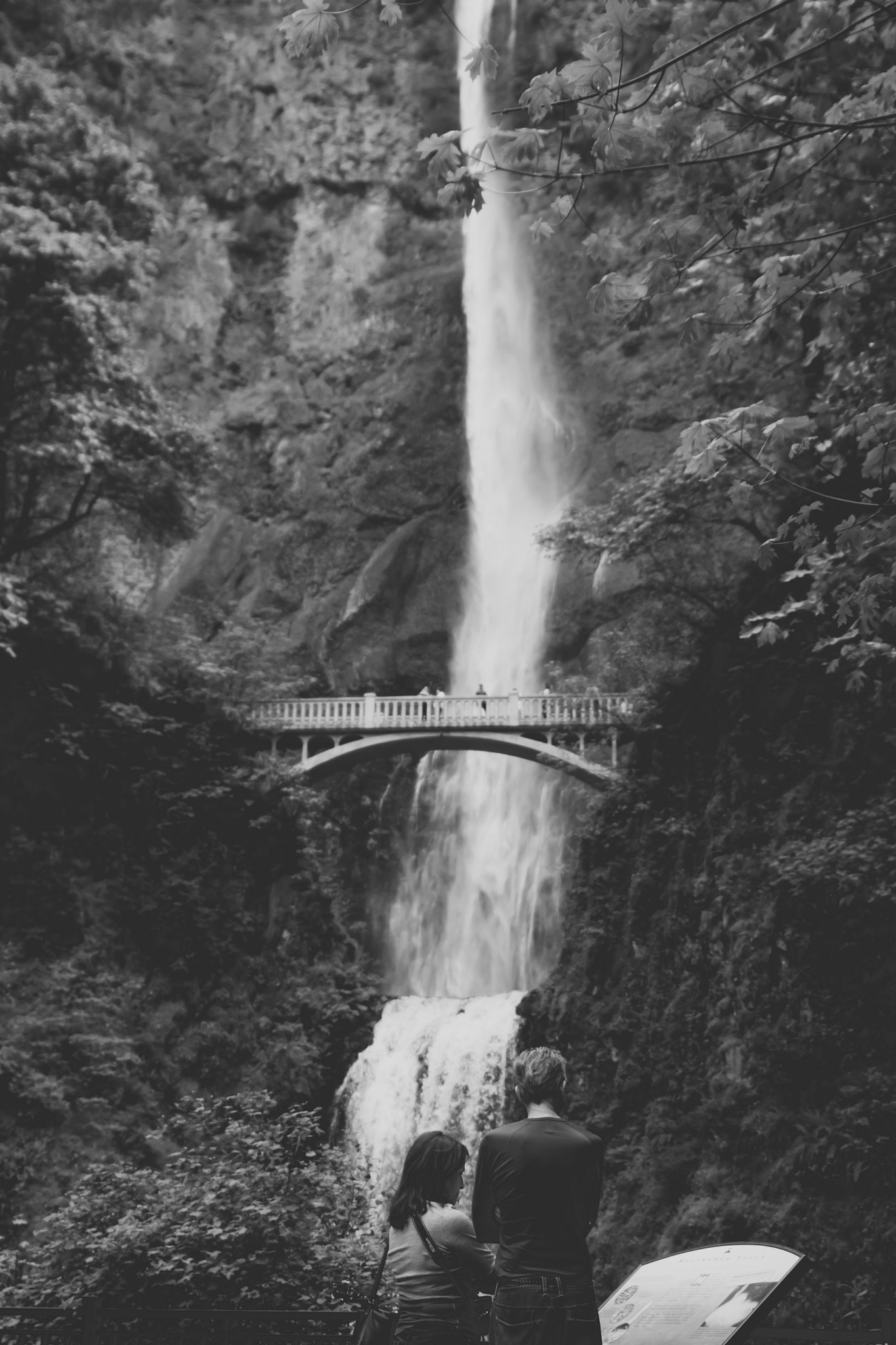 Canon EOS 50D + Sigma 24-70mm F2.8 EX DG Macro sample photo. Multnomah falls b&w photography