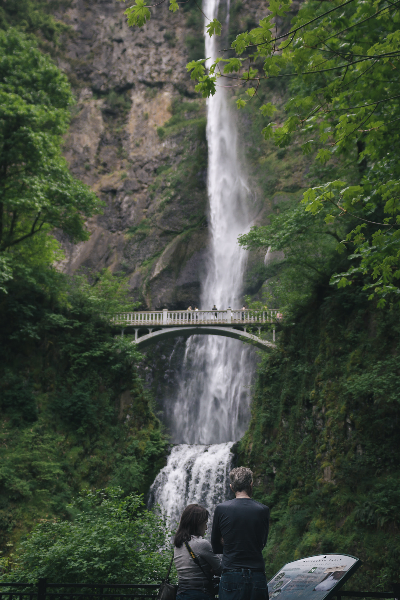 Canon EOS 50D + Sigma 24-70mm F2.8 EX DG Macro sample photo. Multnomah falls. 2016. photography