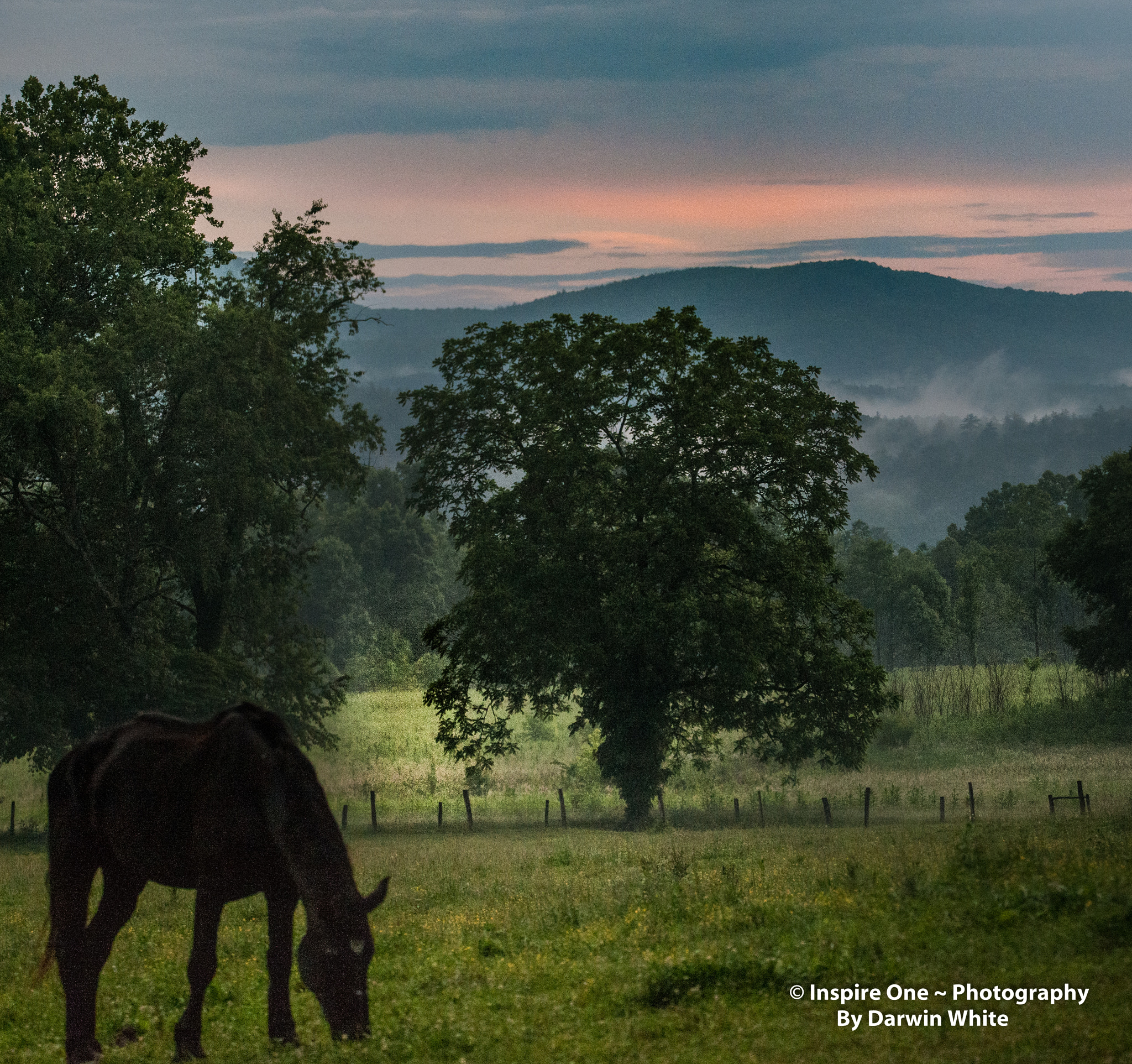 Sigma 150-600mm F5-6.3 DG OS HSM | S sample photo. Cades cove wild life and scenes photography