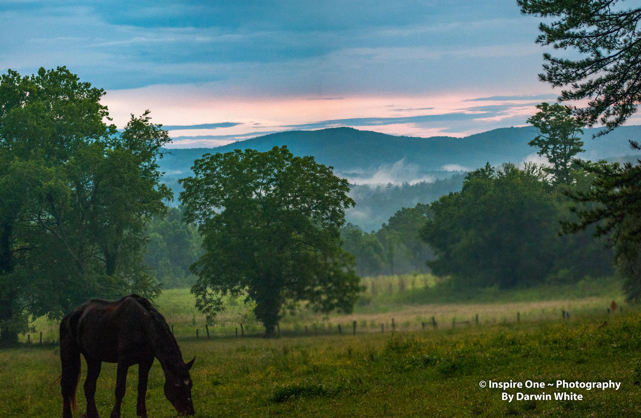 Sigma 150-600mm F5-6.3 DG OS HSM | S sample photo. Cades cove wild life and scenes photography