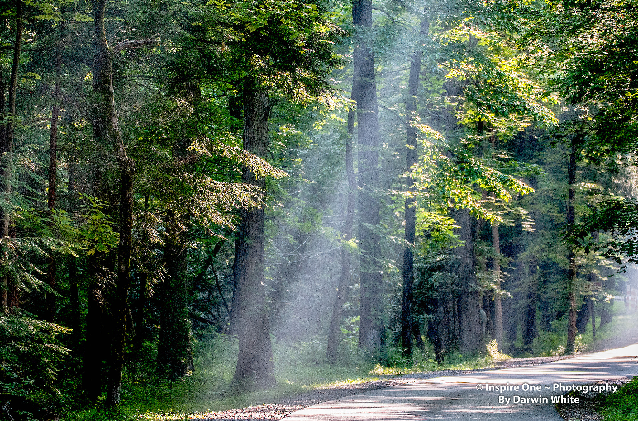 Sigma 150-600mm F5-6.3 DG OS HSM | S sample photo. Cades cove wild life and scenes photography