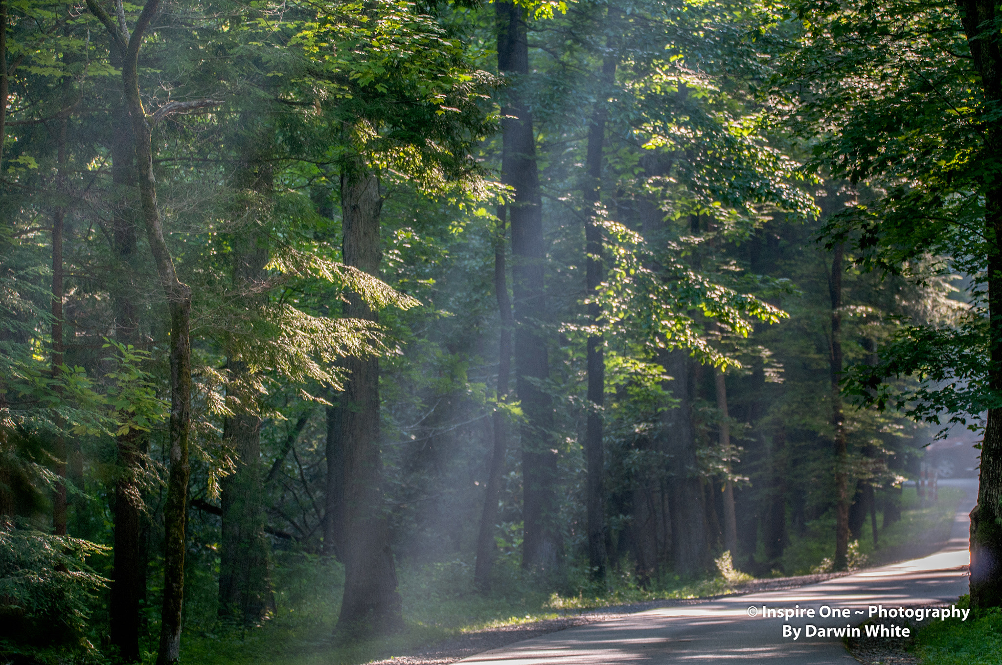 Sigma 150-600mm F5-6.3 DG OS HSM | S sample photo. Cades cove wild life and scenes photography