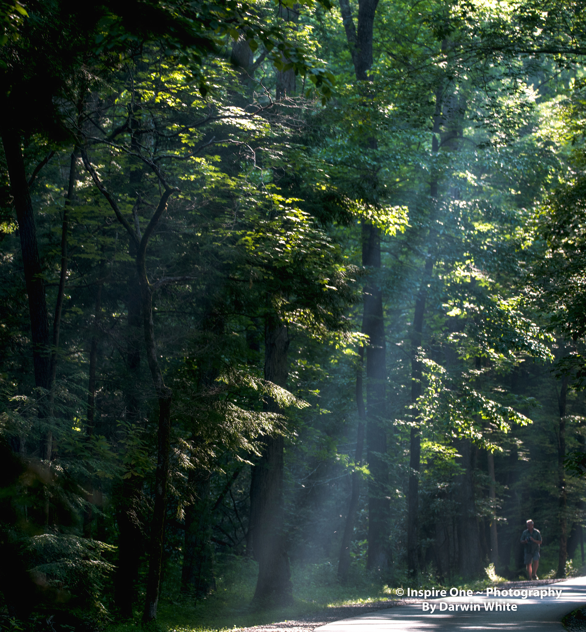 Sigma 150-600mm F5-6.3 DG OS HSM | S sample photo. Cades cove wild life and scenes photography