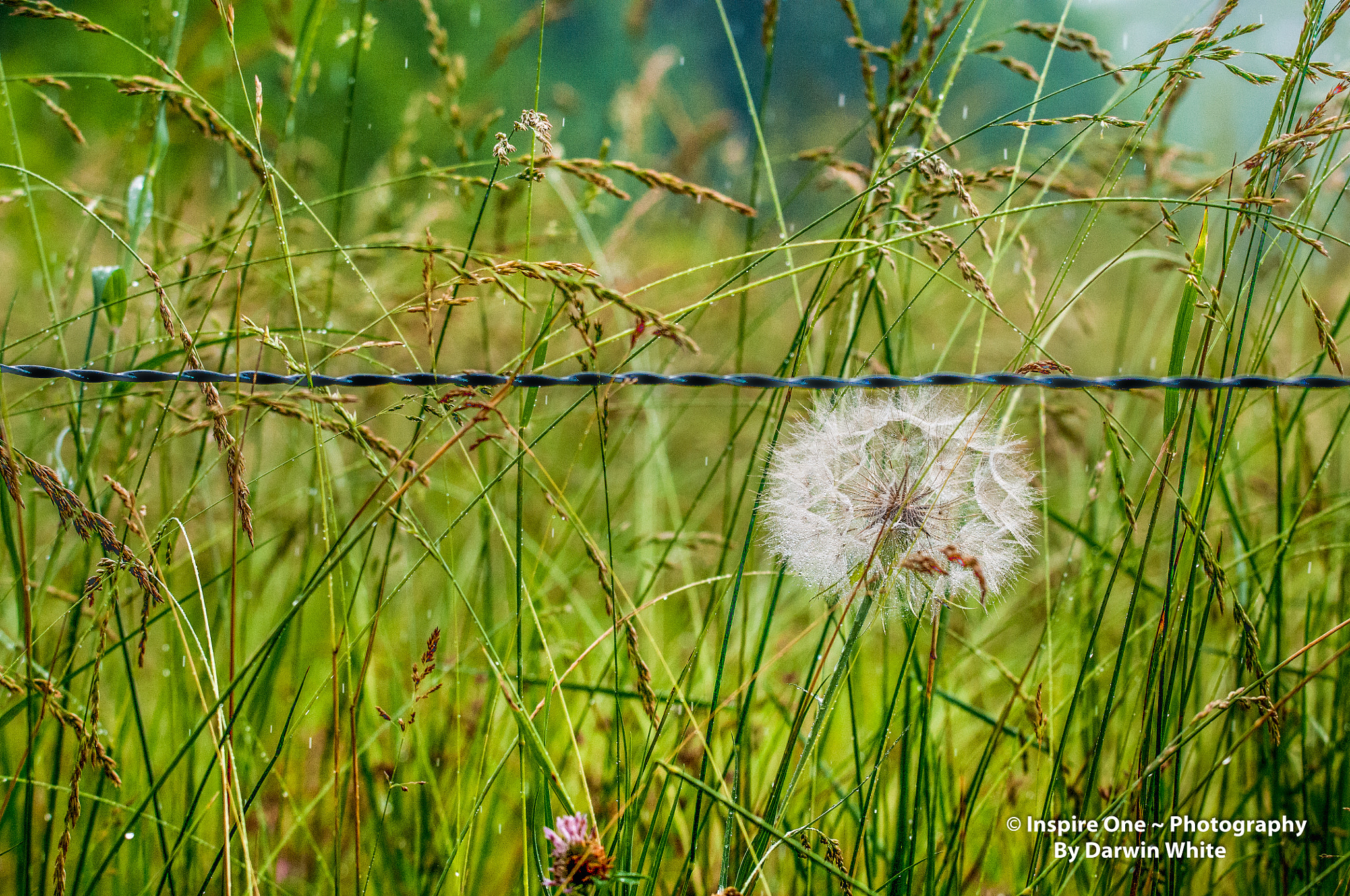 Sigma 150-600mm F5-6.3 DG OS HSM | S sample photo. Cades cove wild life and scenes photography
