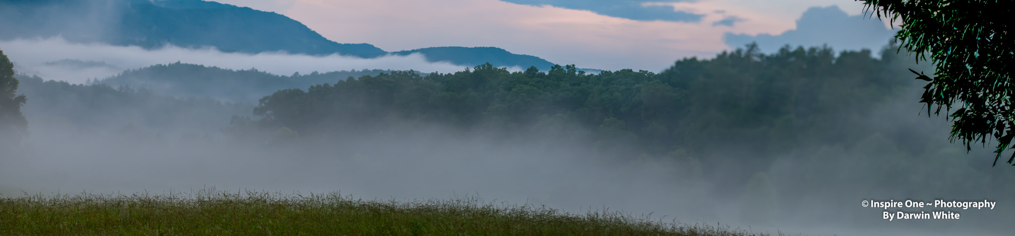 Sigma 150-600mm F5-6.3 DG OS HSM | S sample photo. Cades cove wild life and scenes photography