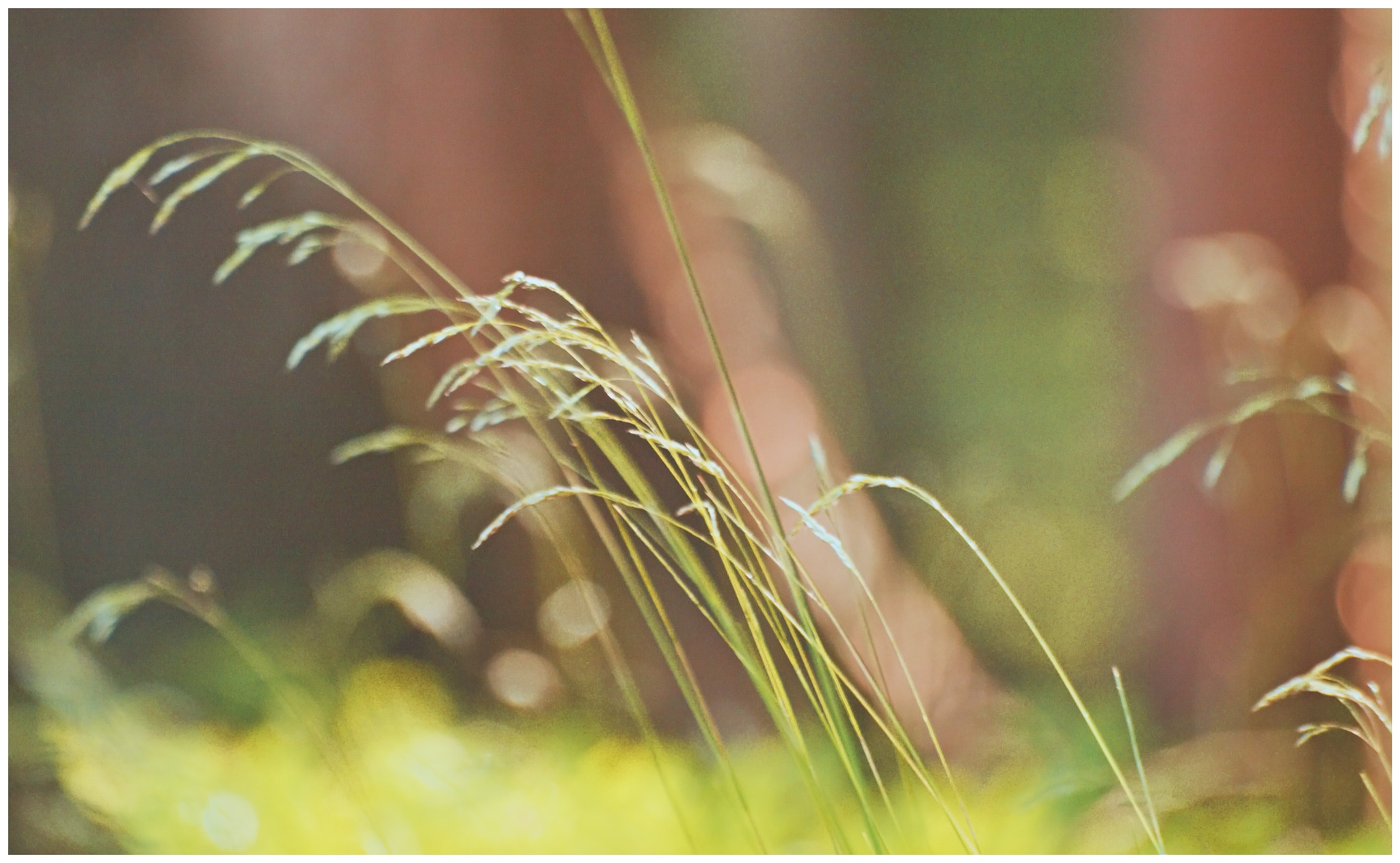 70.00 - 300.00 mm f/4.0 - 5.6 sample photo. The light.. photography