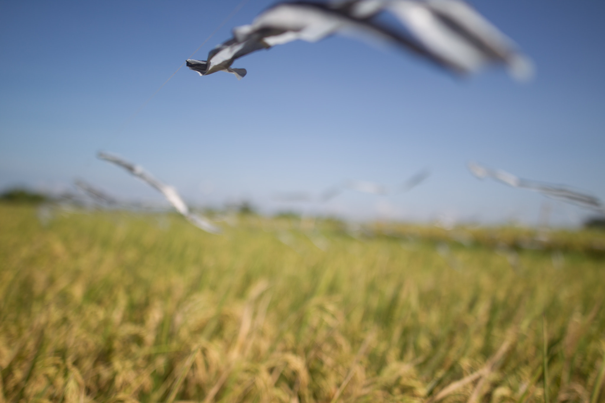 Sigma 24mm F1.4 DG HSM Art sample photo. Forwork (of ) photography
