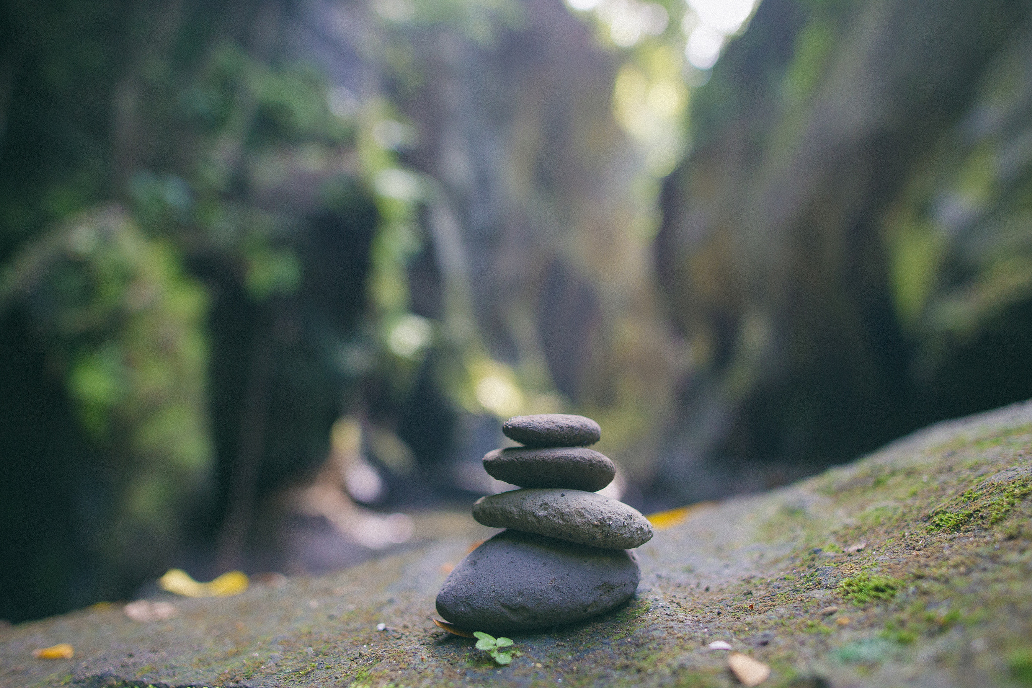 Sigma 24mm F1.4 DG HSM Art sample photo. Forwork (of ) photography