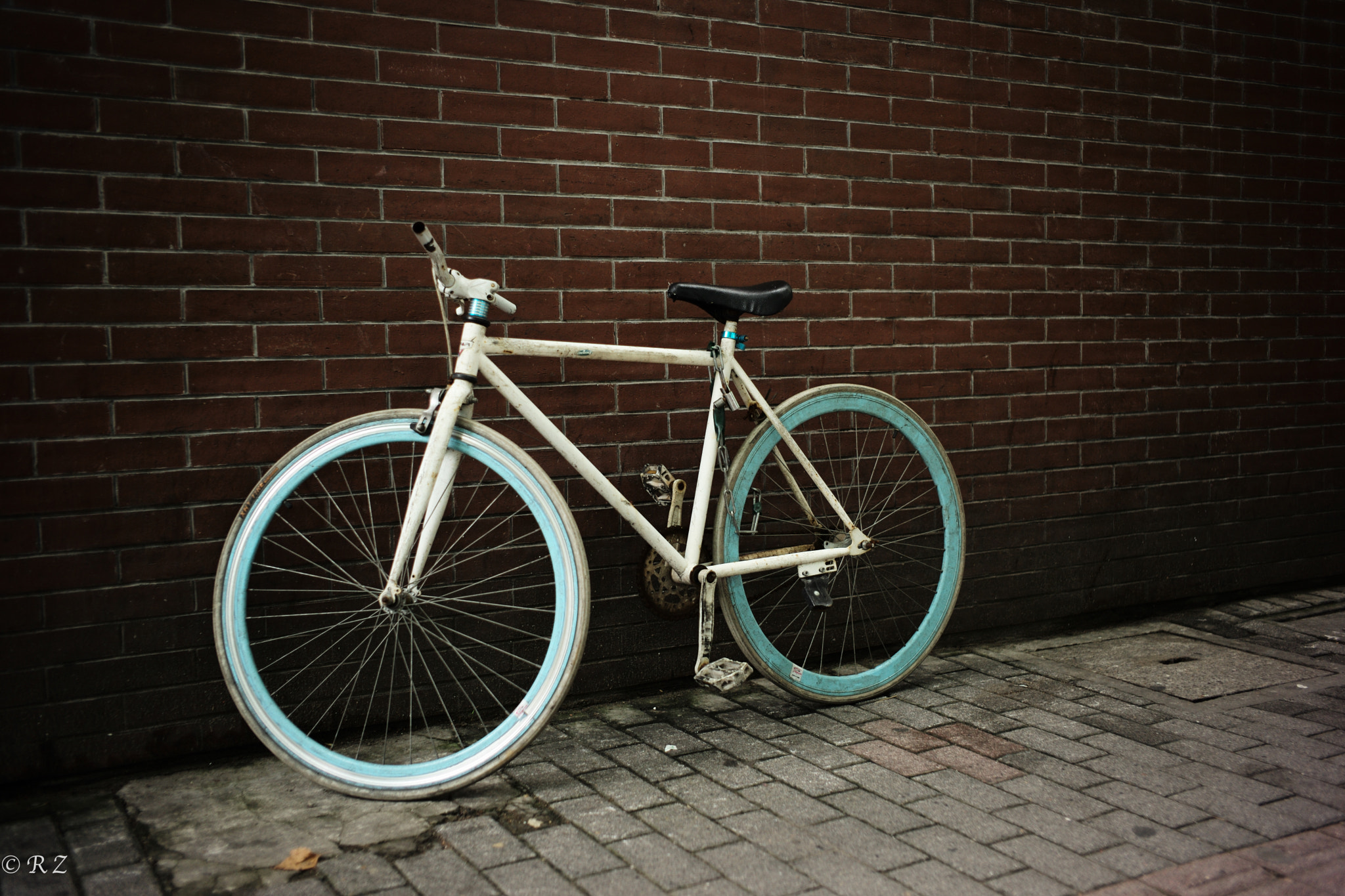 Noctilux-M 1:1/50 sample photo. Take me with you photography