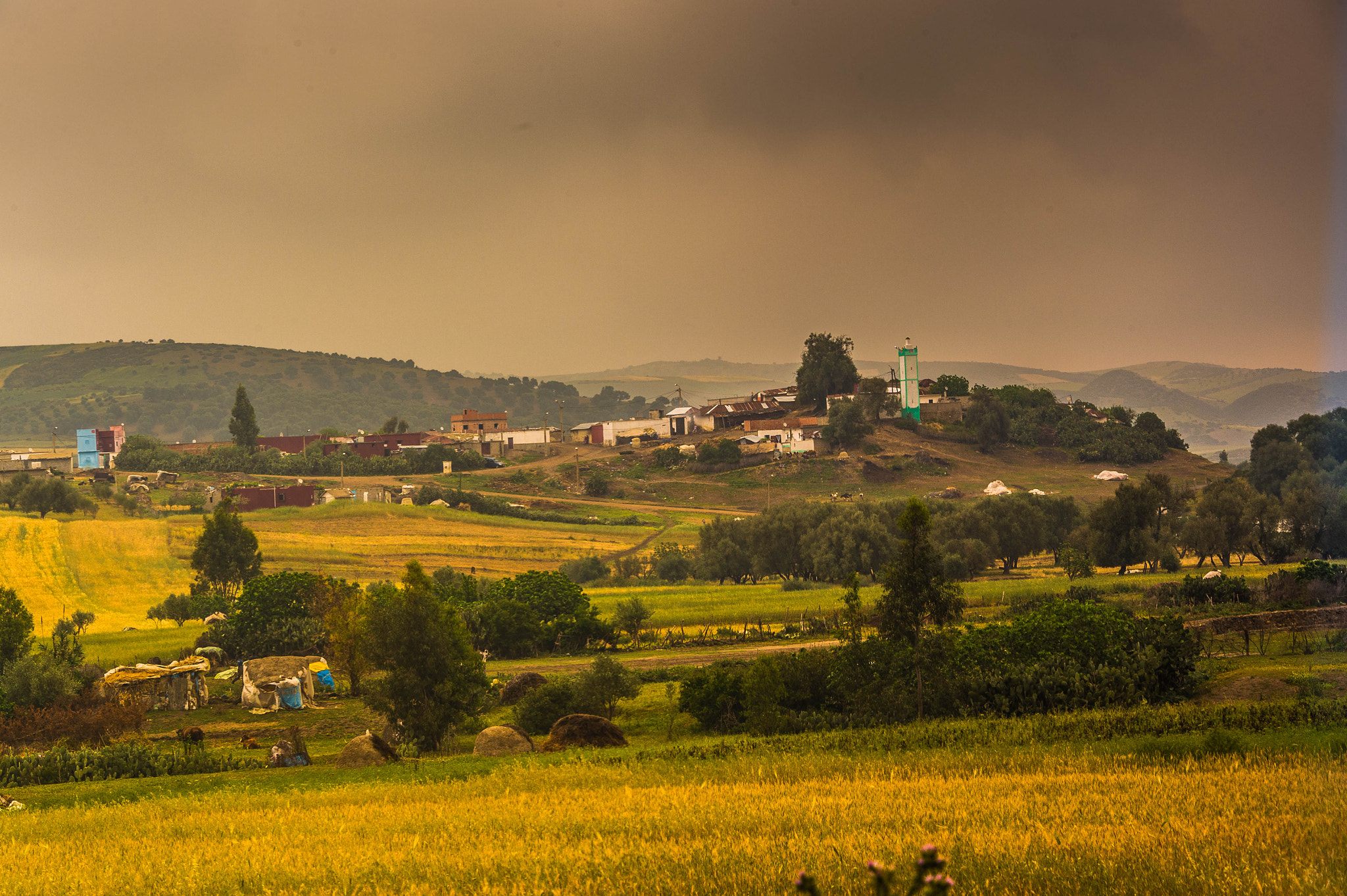 Nikon D4S + Nikon AF-S Nikkor 28-300mm F3.5-5.6G ED VR sample photo. Route chefchaouen photography