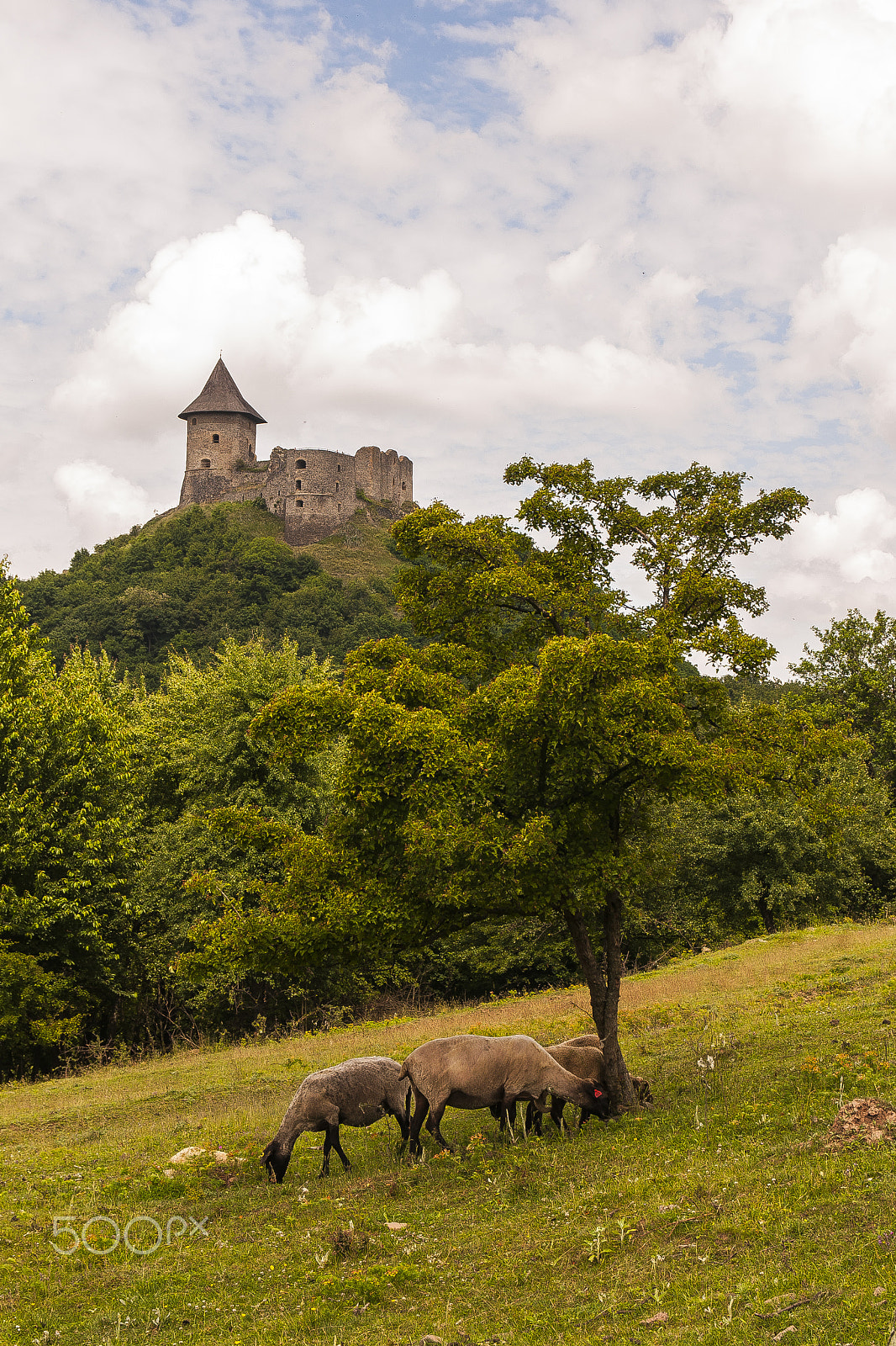 Sigma 17-70mm F2.8-4 DC Macro OS HSM | C sample photo. Somoskő classic photography