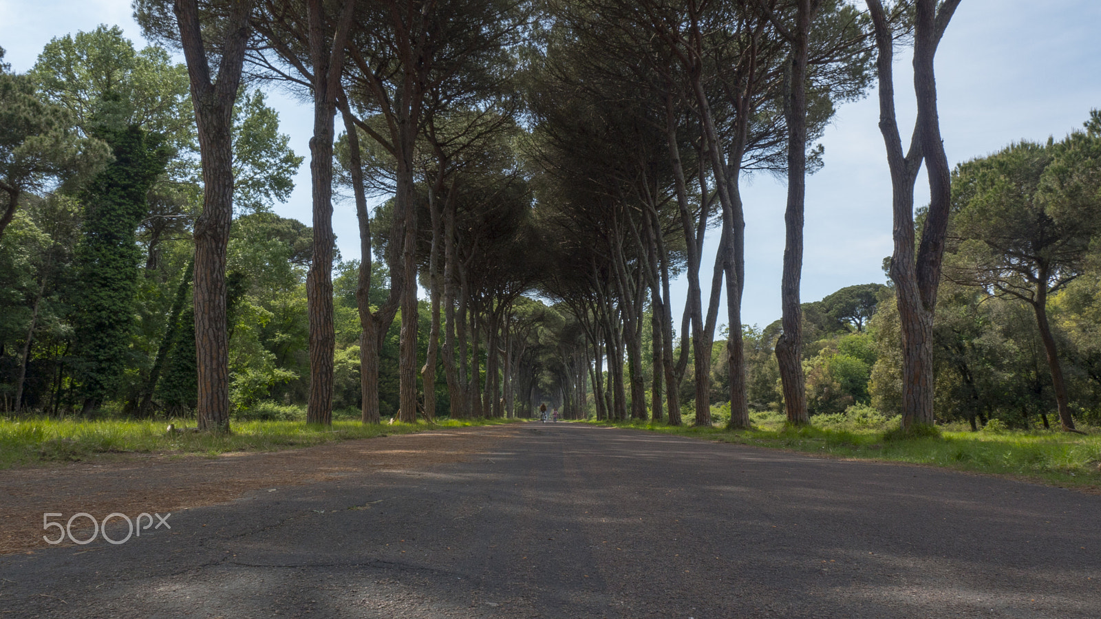 Panasonic Lumix DMC-GH4 sample photo. Dirt road and avenue in italy the late summer photography
