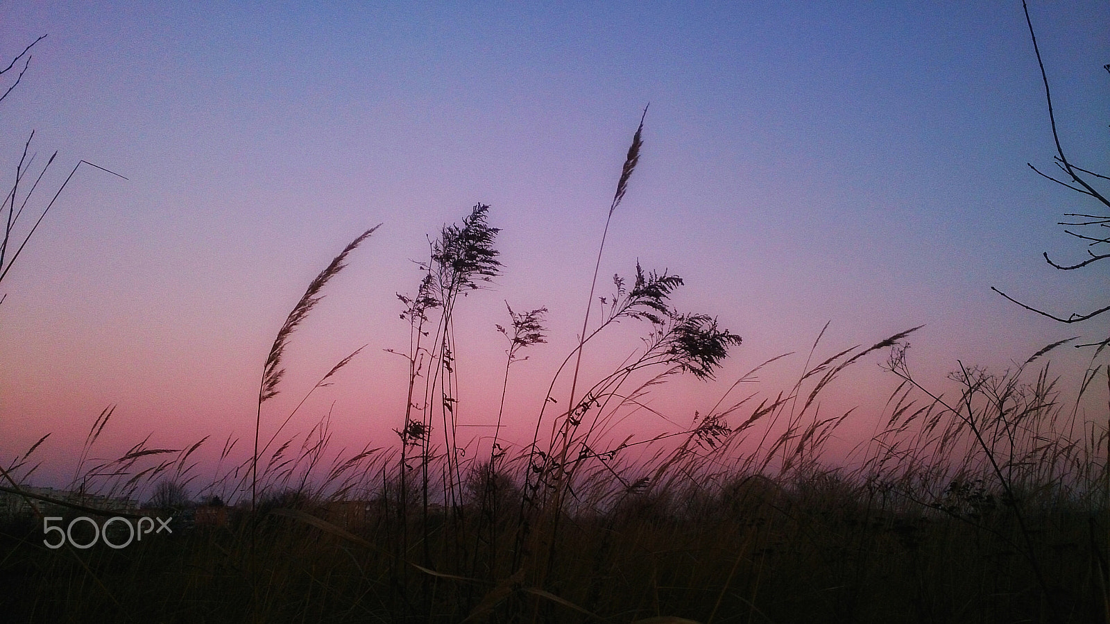 Sony Xperia ZR sample photo. Sunrise photography
