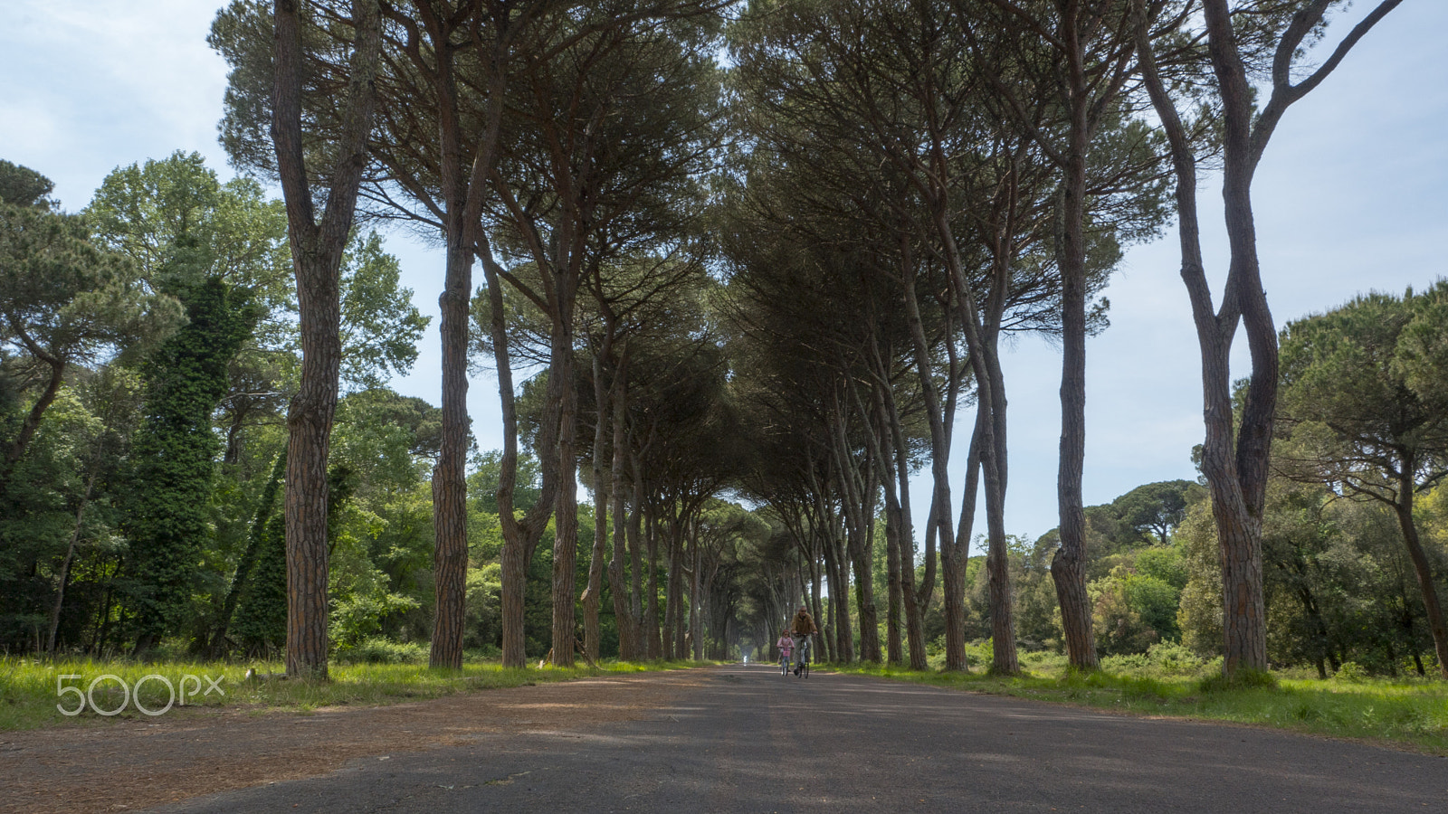 Panasonic Lumix DMC-GH4 sample photo. Dirt road and avenue in italy the late summer photography