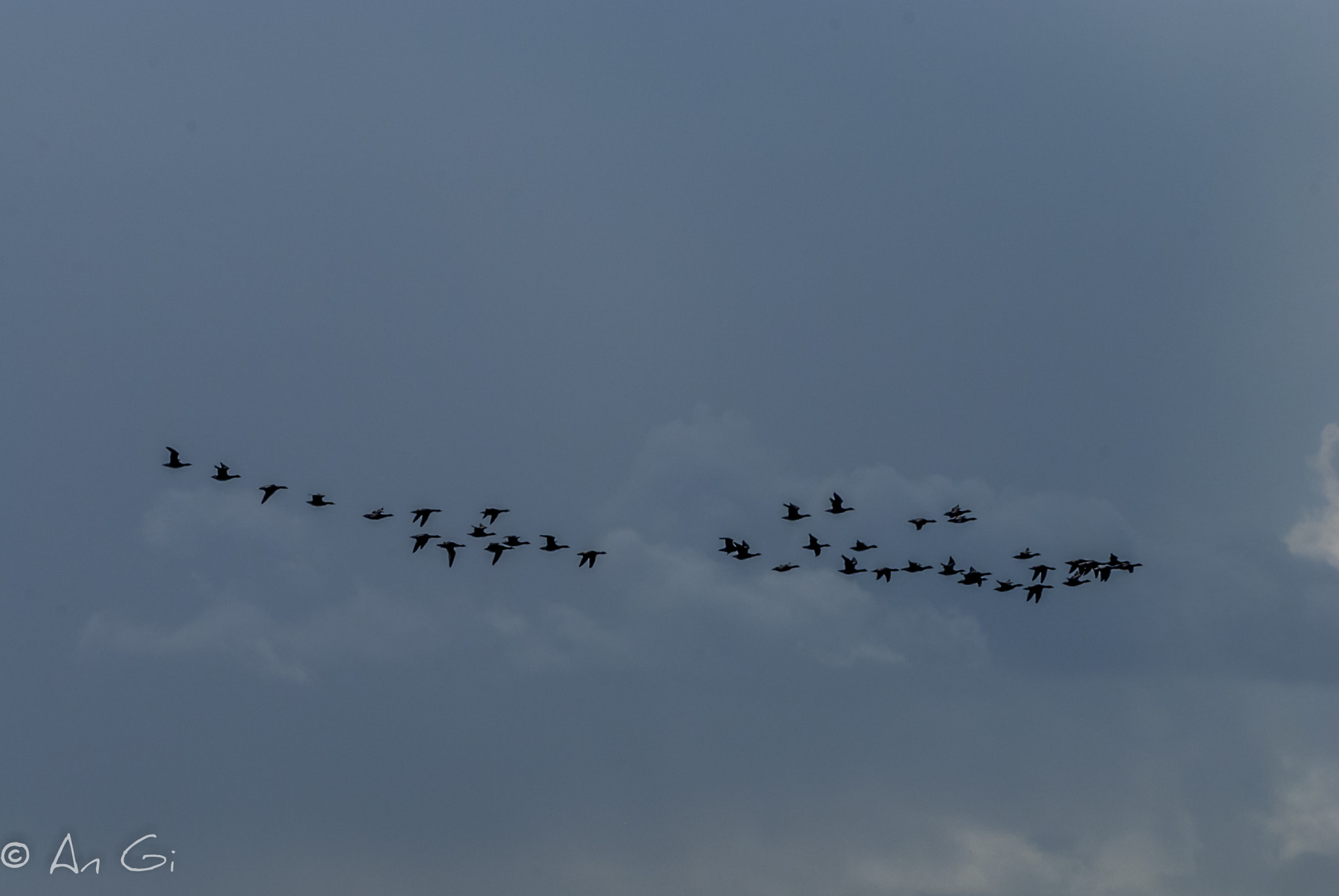 Nikon D60 sample photo. 39 photography