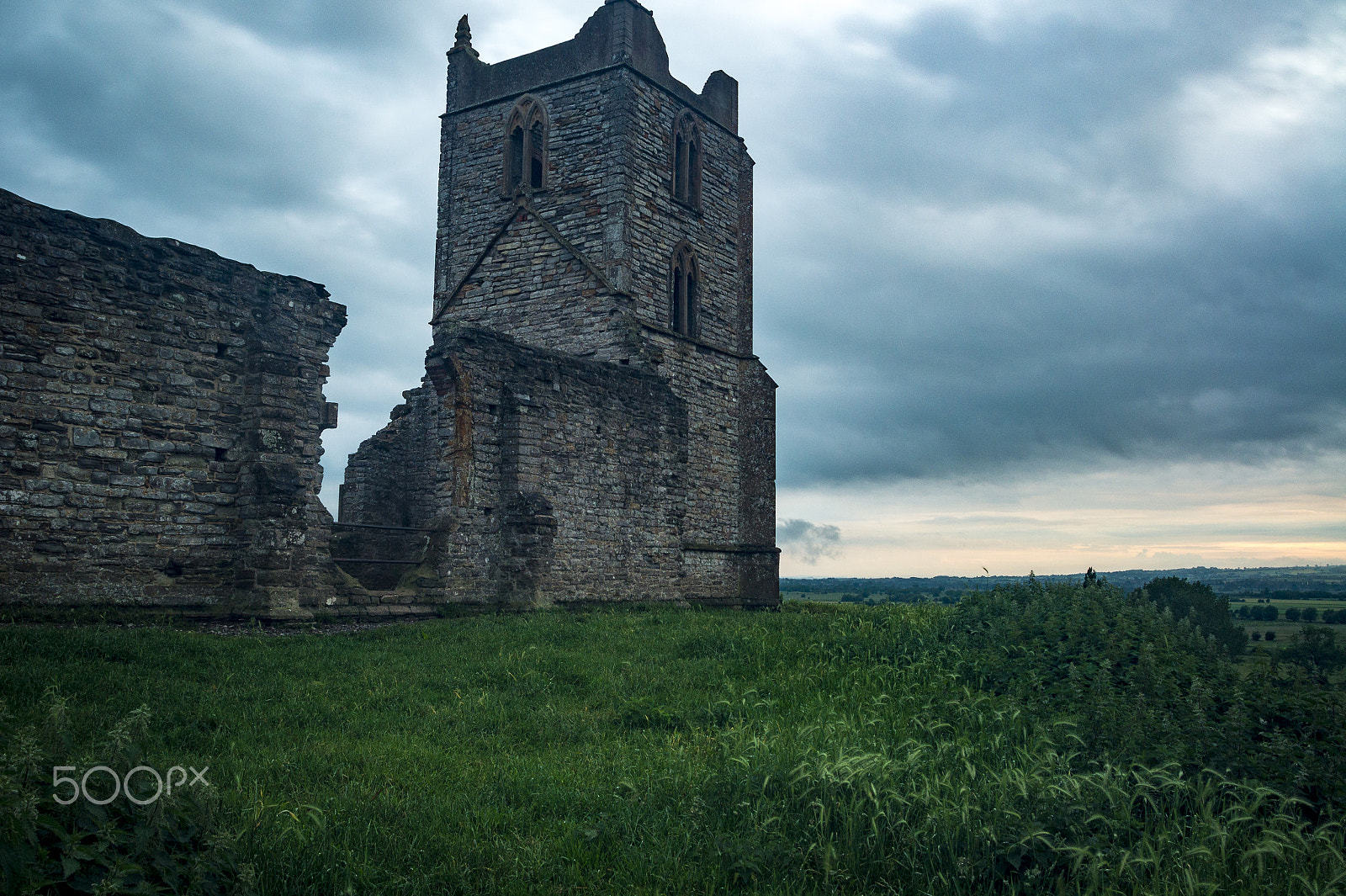 Minolta AF 28-85mm F3.5-4.5 New sample photo. Burrow mump photography