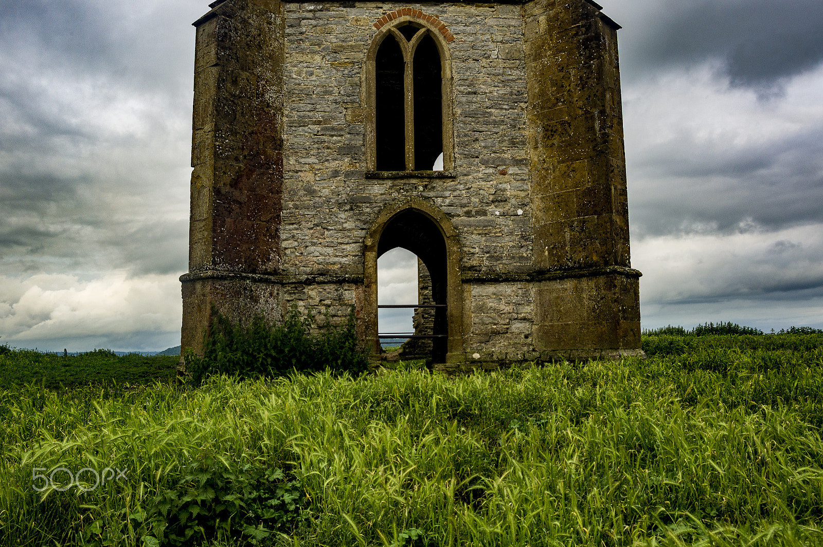 Minolta AF 28-85mm F3.5-4.5 New sample photo. Burrow mump photography
