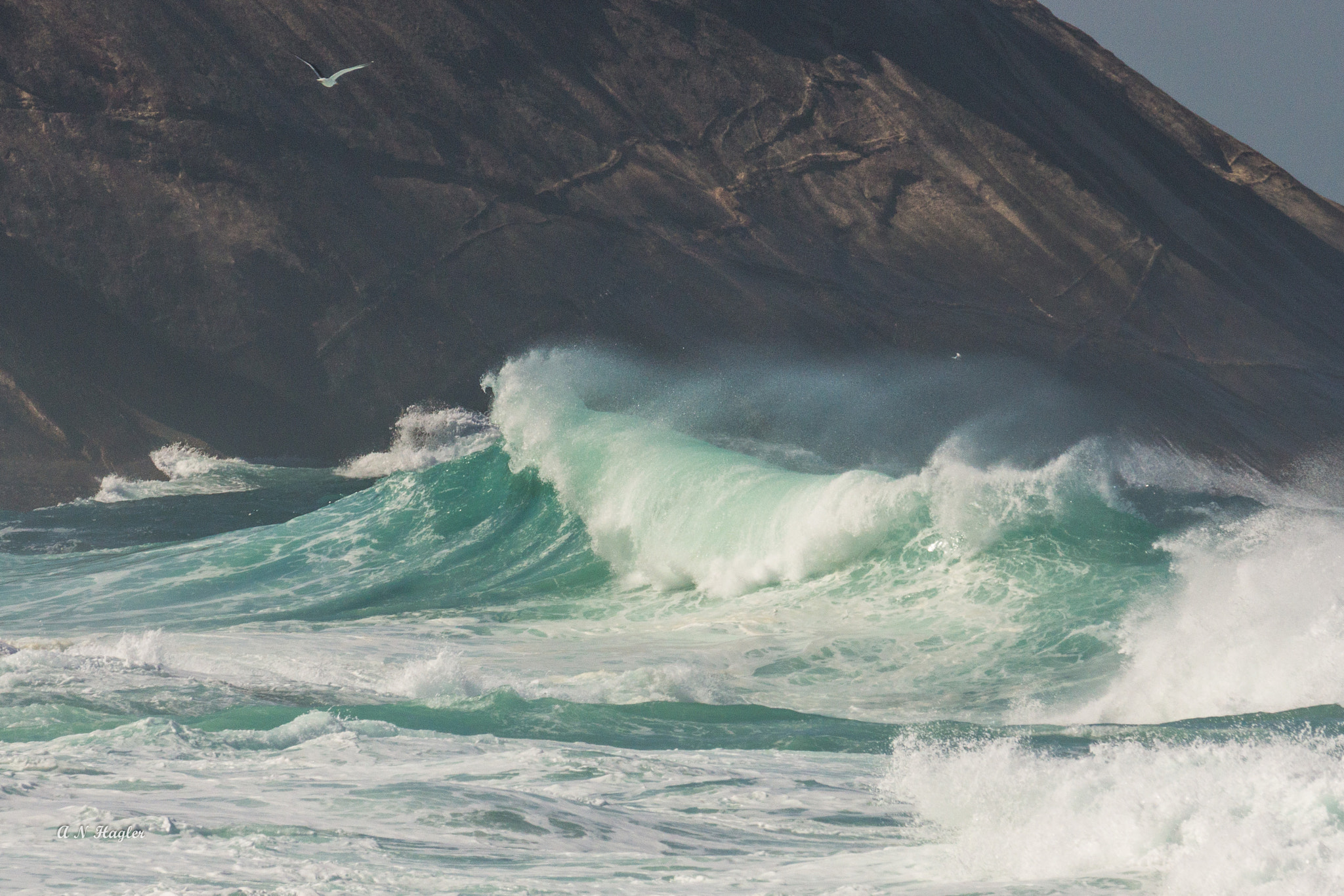 Sony 70-300mm F4.5-5.6 G SSM sample photo. Gull over big surf in rio photography