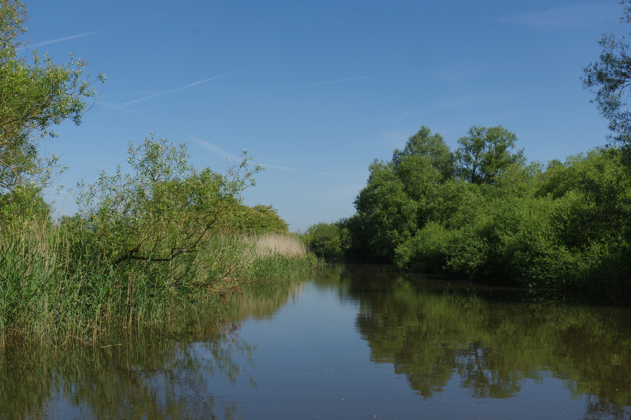 Pentax smc DA 17-70mm F4.0 AL (IF) SDM sample photo. Biesbosch drimmelen, the netherlands photography