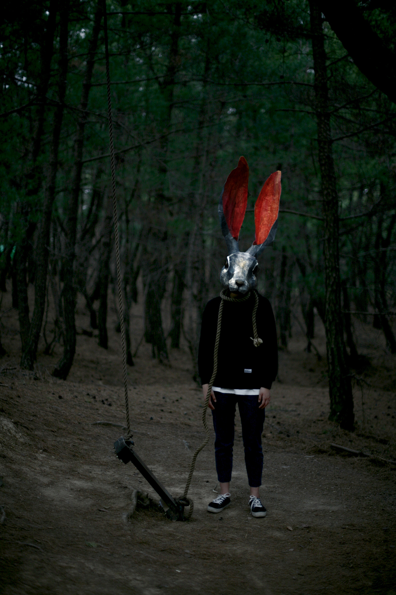 Canon EOS 5D + Canon EF 50mm F1.4 USM sample photo. The rabbit #1 photography