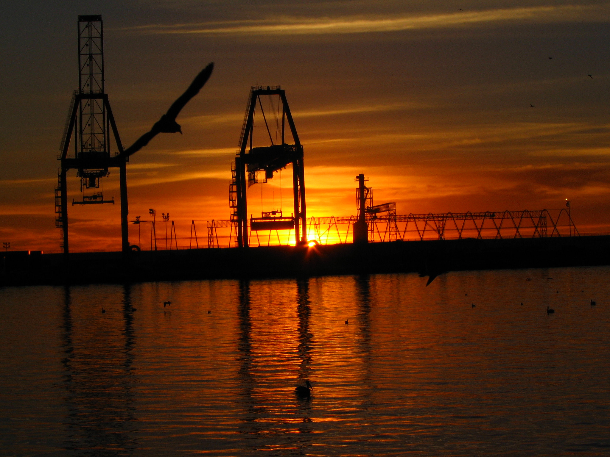 Canon POWERSHOT A85 sample photo. Ensenada sunset. photography