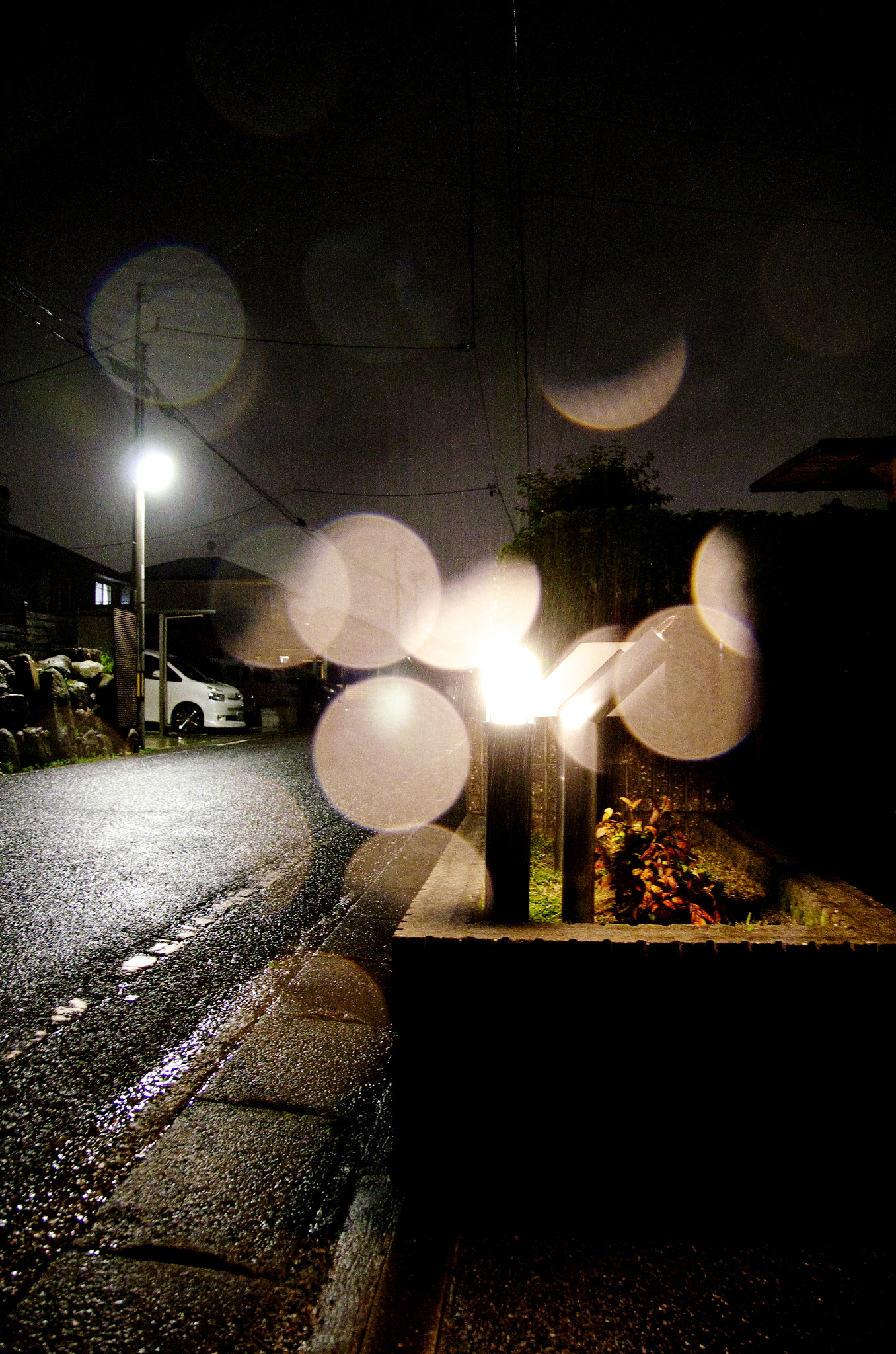 Pentax K-5 II sample photo. Wr photography