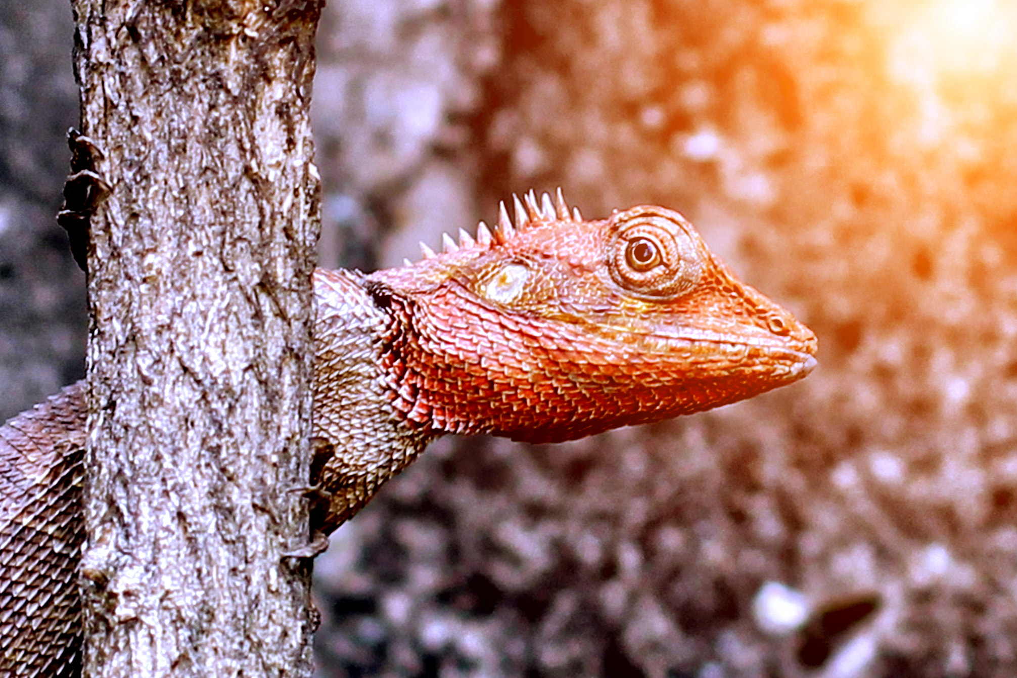 Canon EOS 60D + Canon EF 50mm F1.4 USM sample photo. No caption # 76 photography