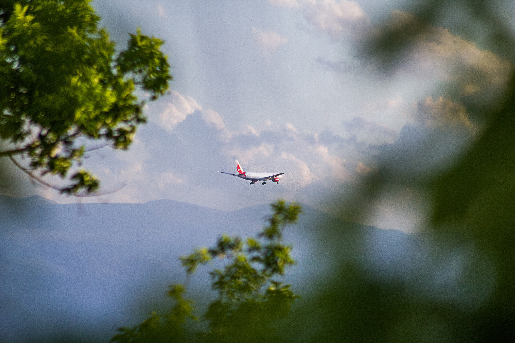 Sigma 70-300mm F4-5.6 APO DG Macro sample photo. Airplane through the nature photography