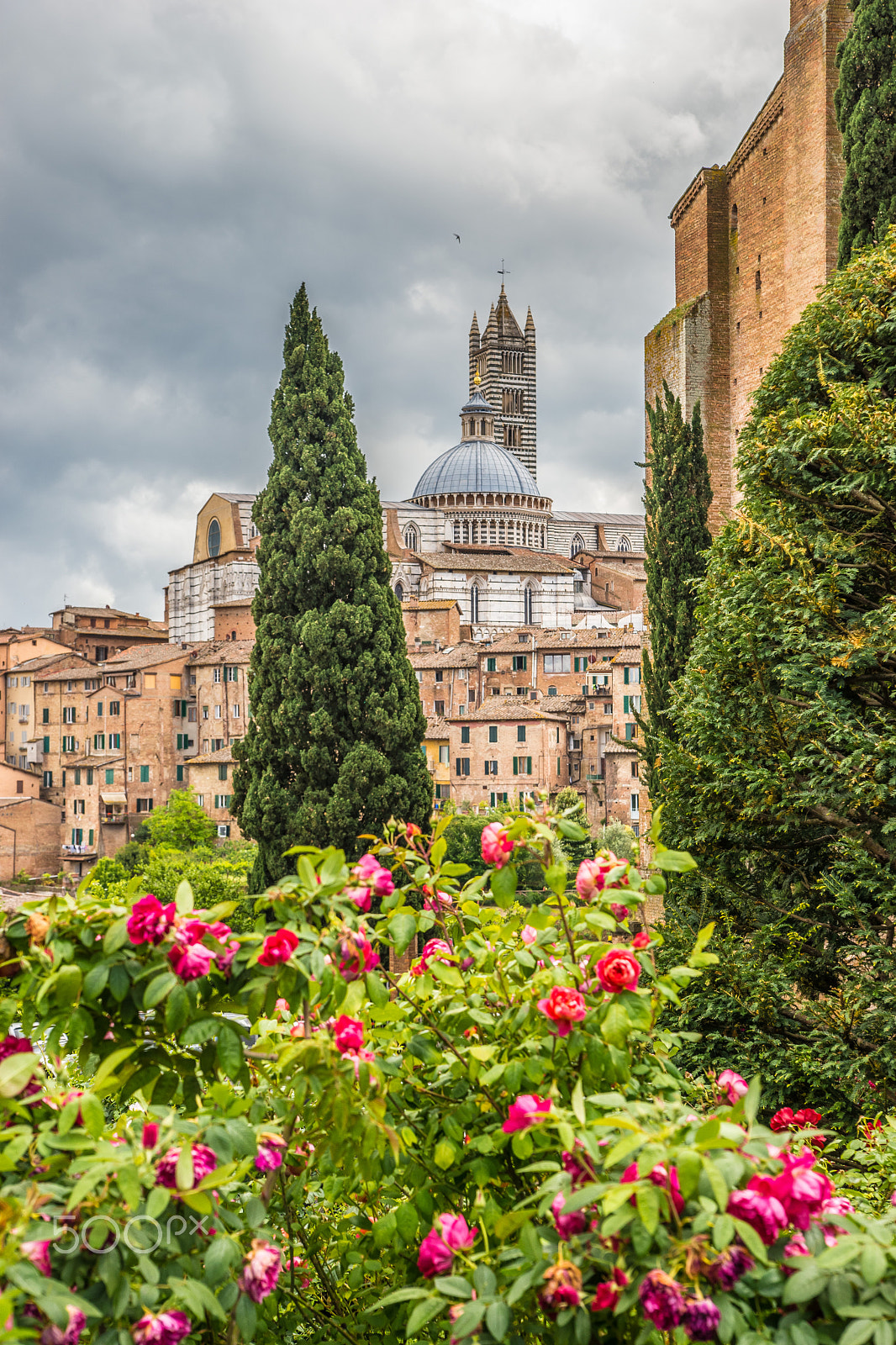 Sony Alpha a99 sample photo. Siena cathedral photography