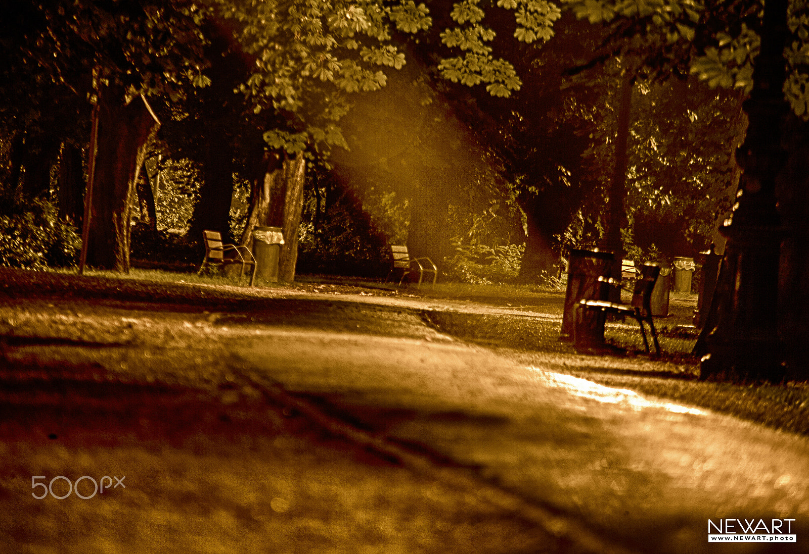 Canon EOS-1Ds Mark II sample photo. Under the trees photography