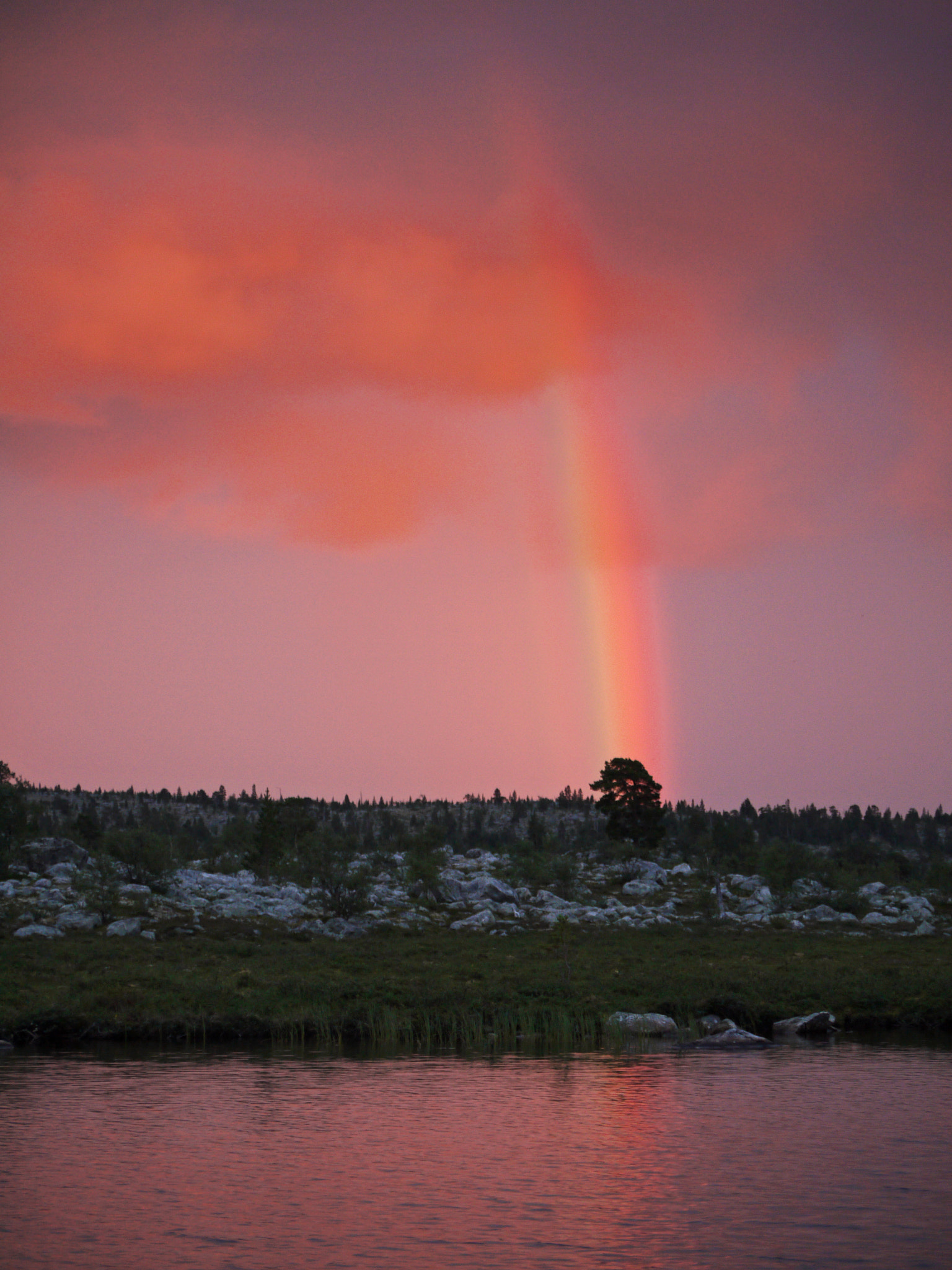 Panasonic Lumix G Vario 45-200mm F4-5.6 OIS sample photo. Rainbow at rogens photography