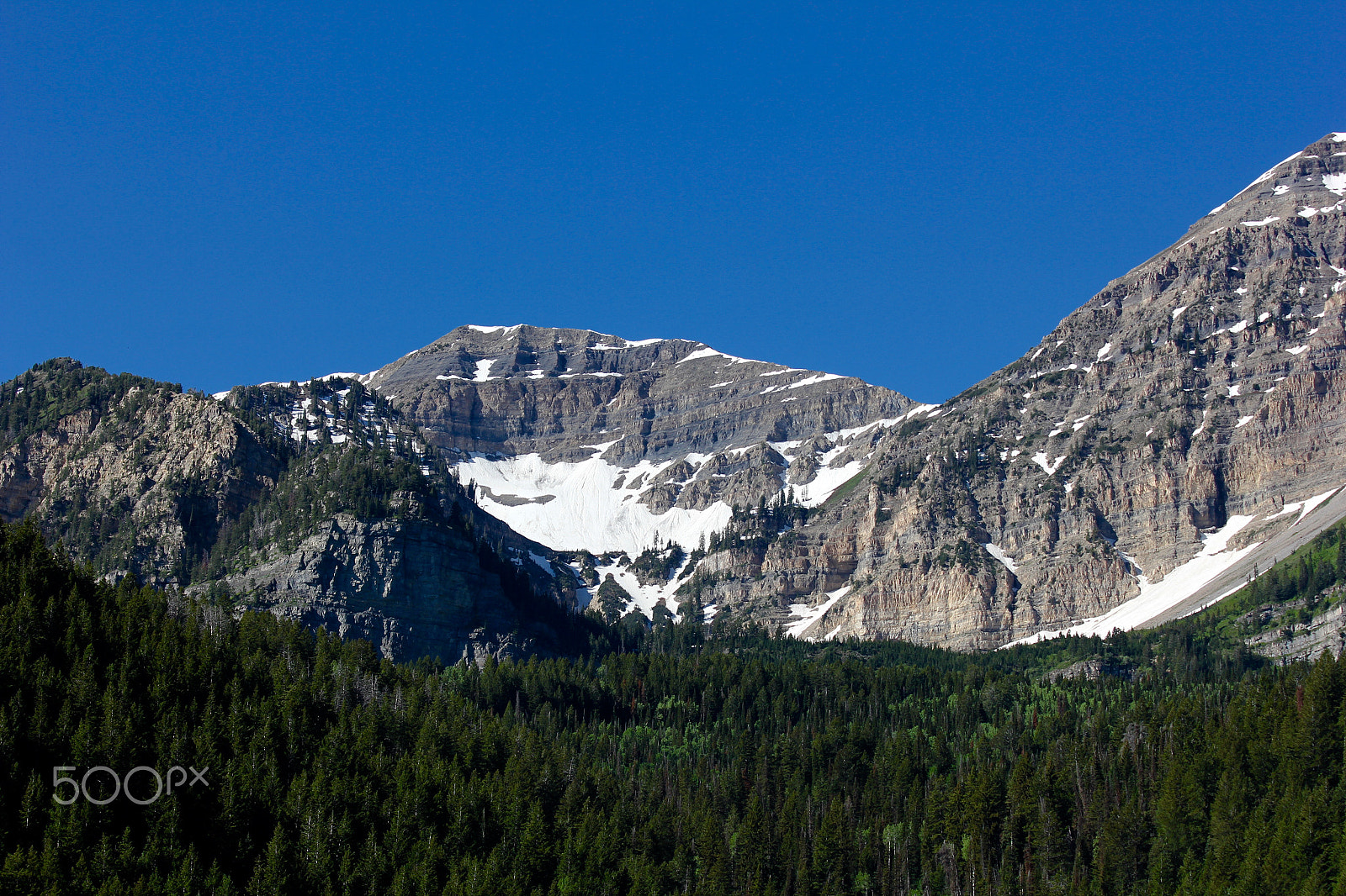 Canon EF 70-300mm F4-5.6 IS USM sample photo. Spring in the high country photography