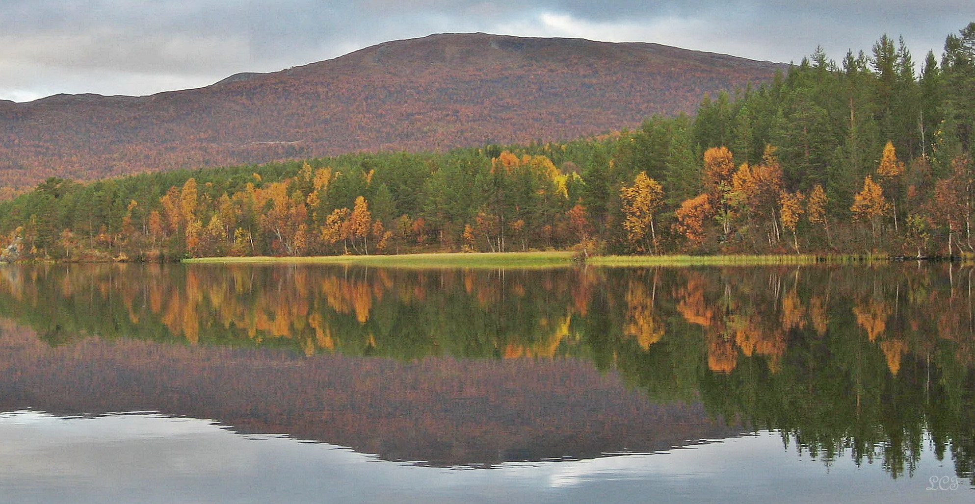 Canon DIGITAL IXUS 800 IS sample photo. Reflections... photography