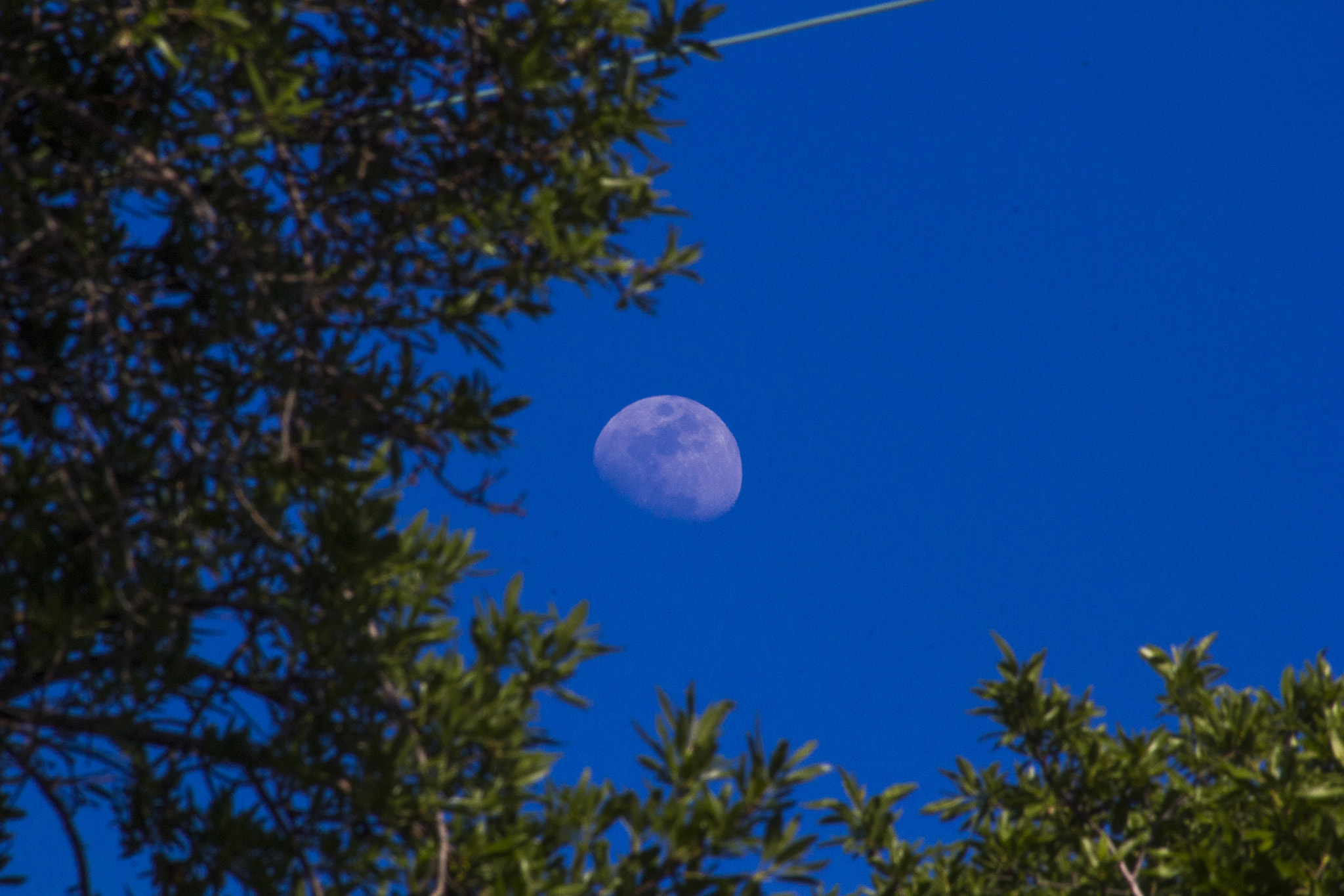 Sigma 70-300mm F4-5.6 APO DG Macro sample photo