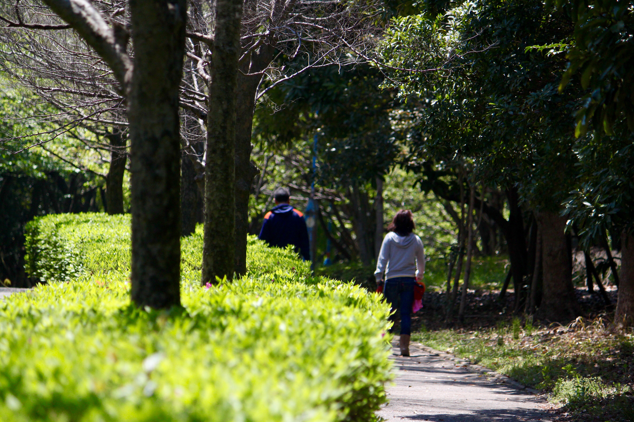 Canon EF-S 55-250mm F4-5.6 IS sample photo. ⭐︎千葉ポートパーク photography