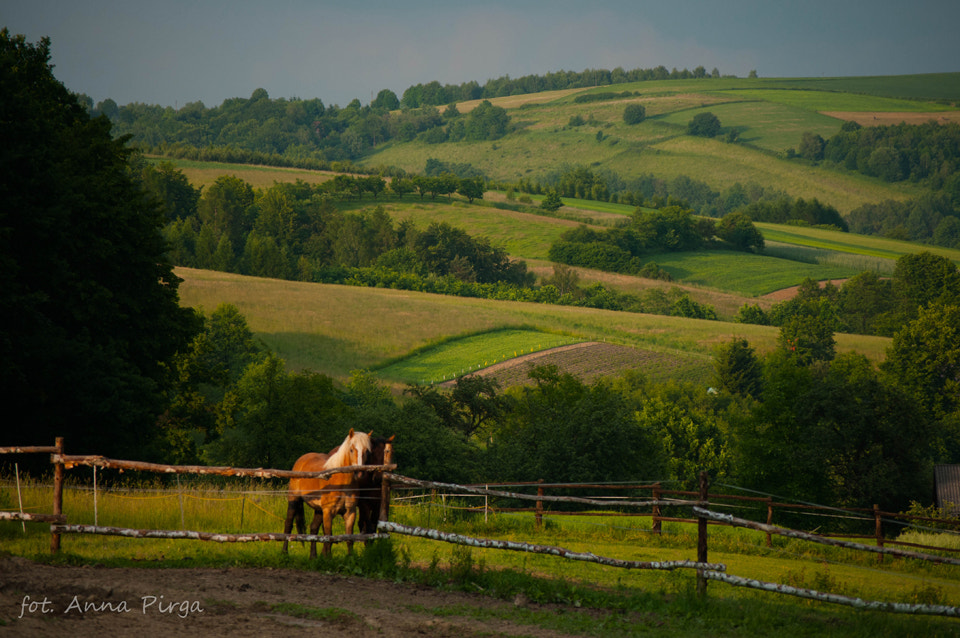 Nikon D300S sample photo. Far away... photography