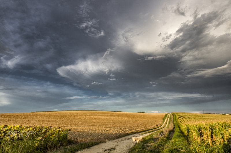 Pentax K-3 sample photo. Storm is coming photography