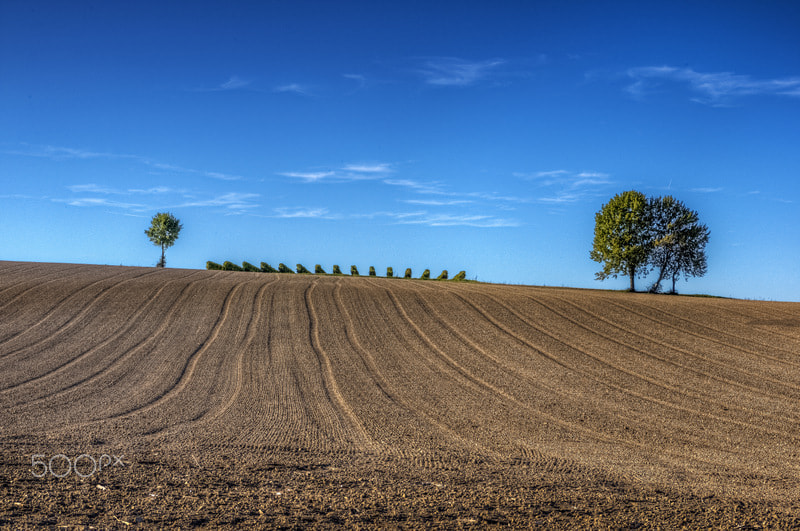 Pentax K-3 sample photo. Lignes de vie photography