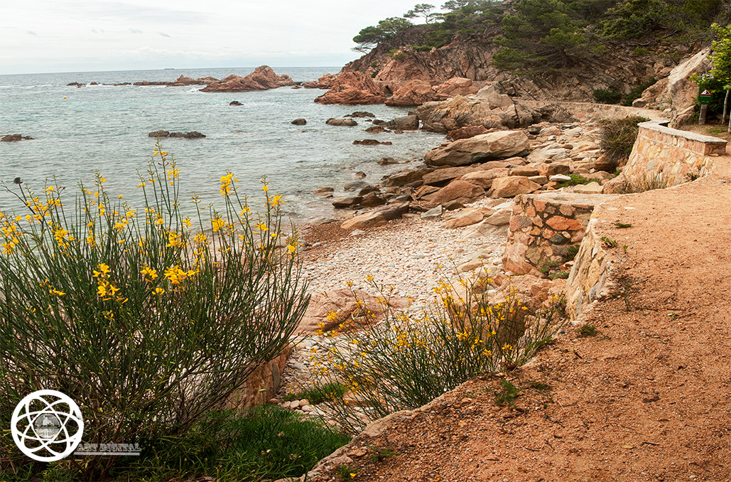 AF Zoom-Nikkor 24-50mm f/3.3-4.5D sample photo. Postales de la costa photography