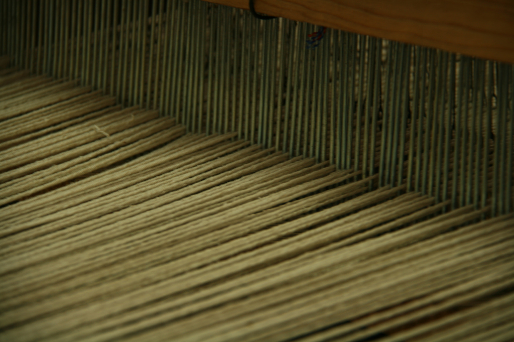 Canon EOS 400D (EOS Digital Rebel XTi / EOS Kiss Digital X) sample photo. Thread photography