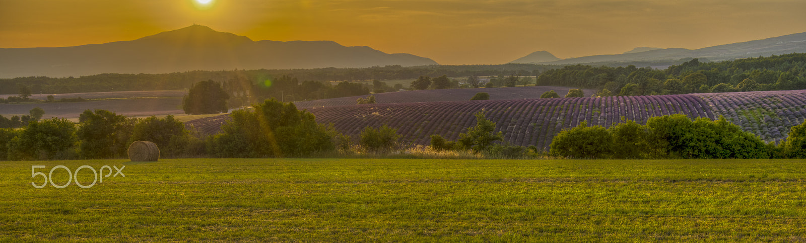 Pentax K-3 sample photo. Giono's provence photography