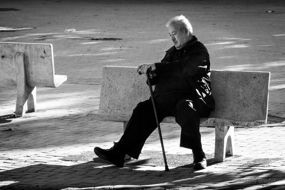 Sony E 18-200mm F3.5-6.3 OSS LE sample photo. Memories photography